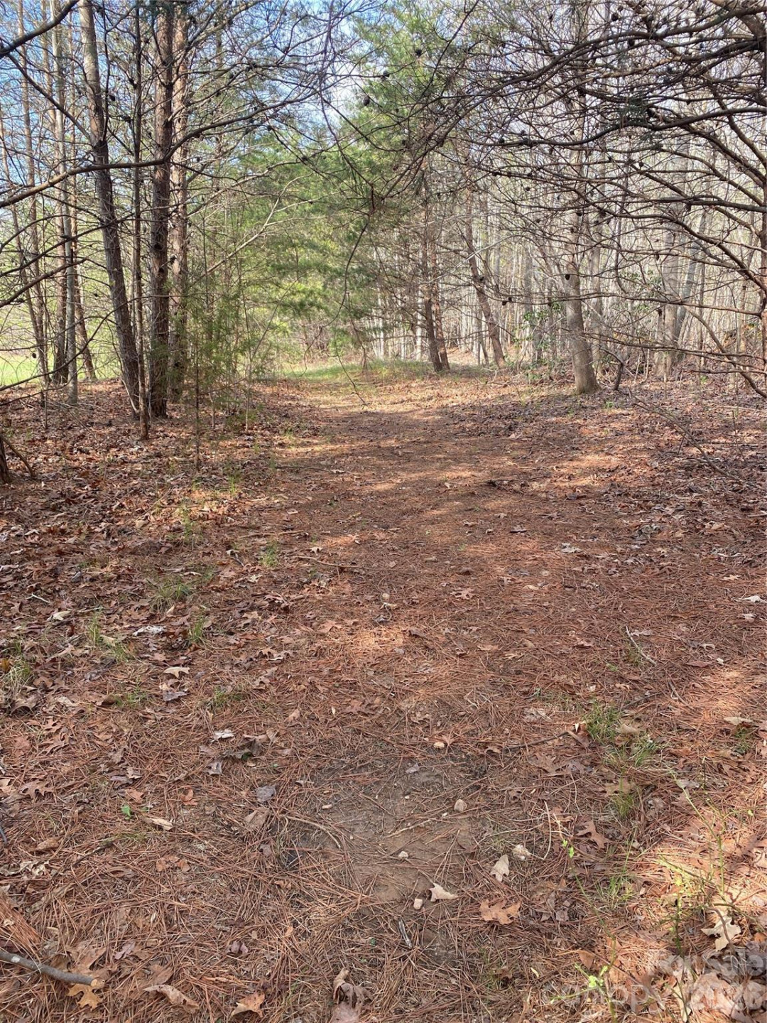 00 Cane Creek Mountain Road #1 - Photo 6