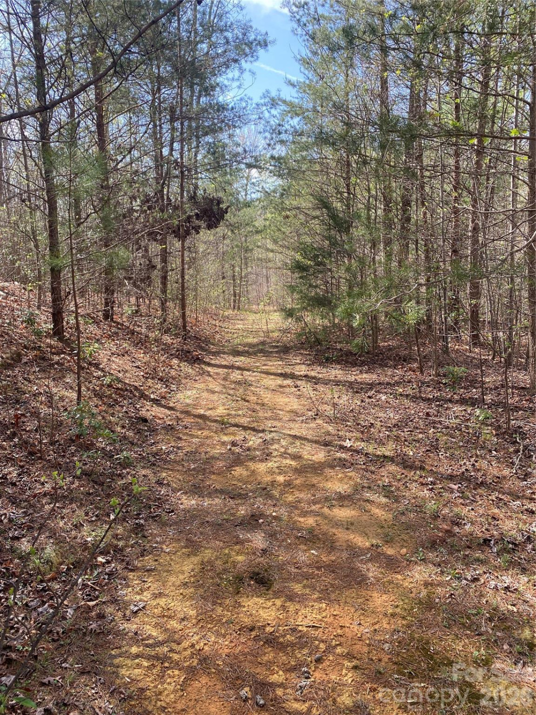 00 Cane Creek Mountain Road #1 - Photo 7