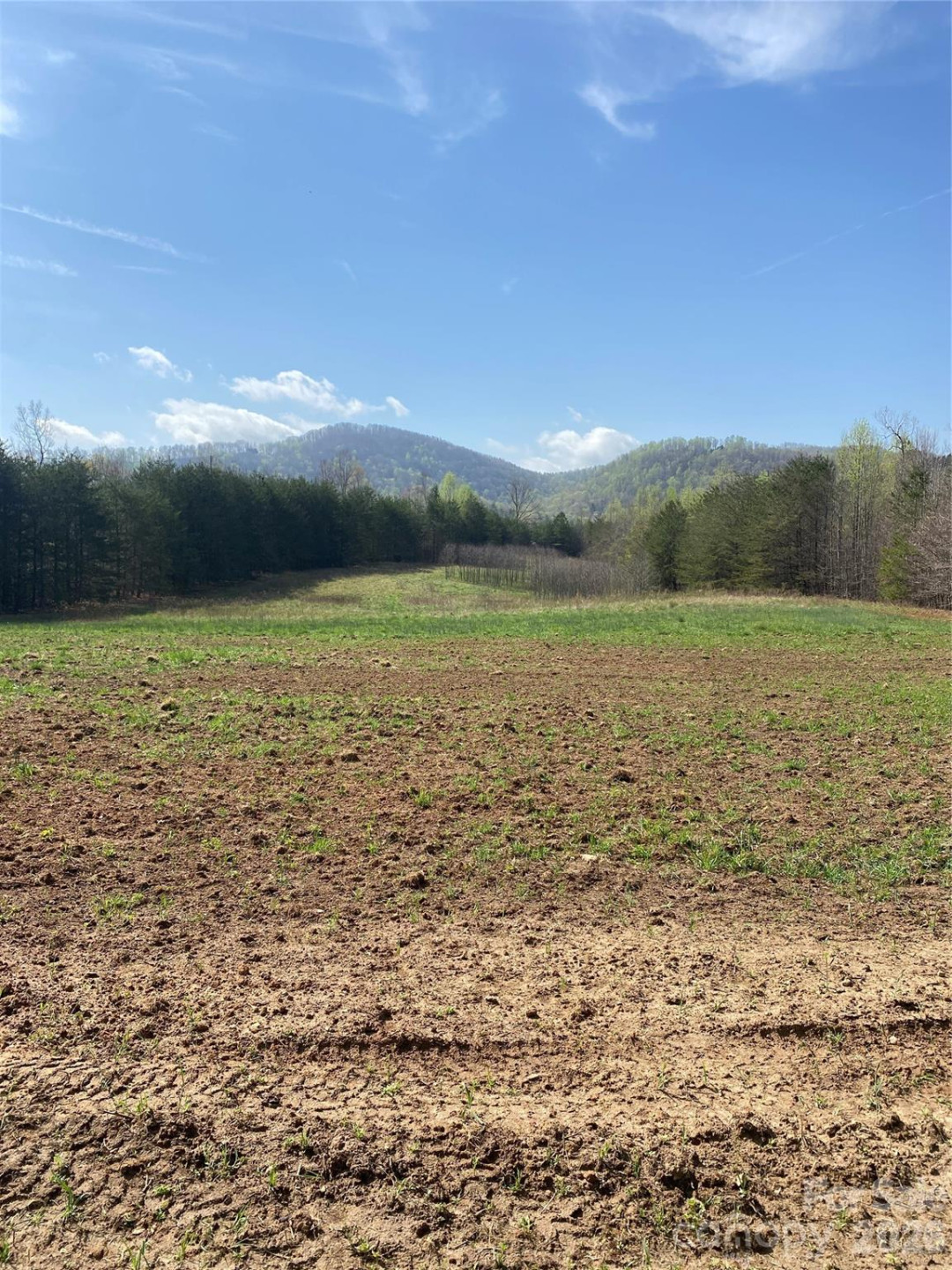 00 Cane Creek Mountain Road #1 - Photo 8