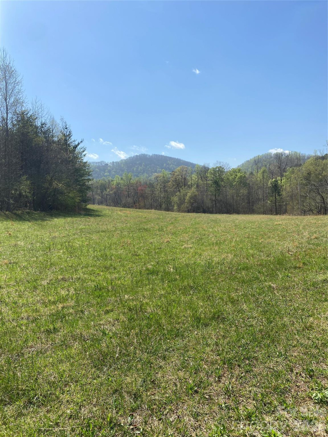 00 Cane Creek Mountain Road #1 - Photo 10