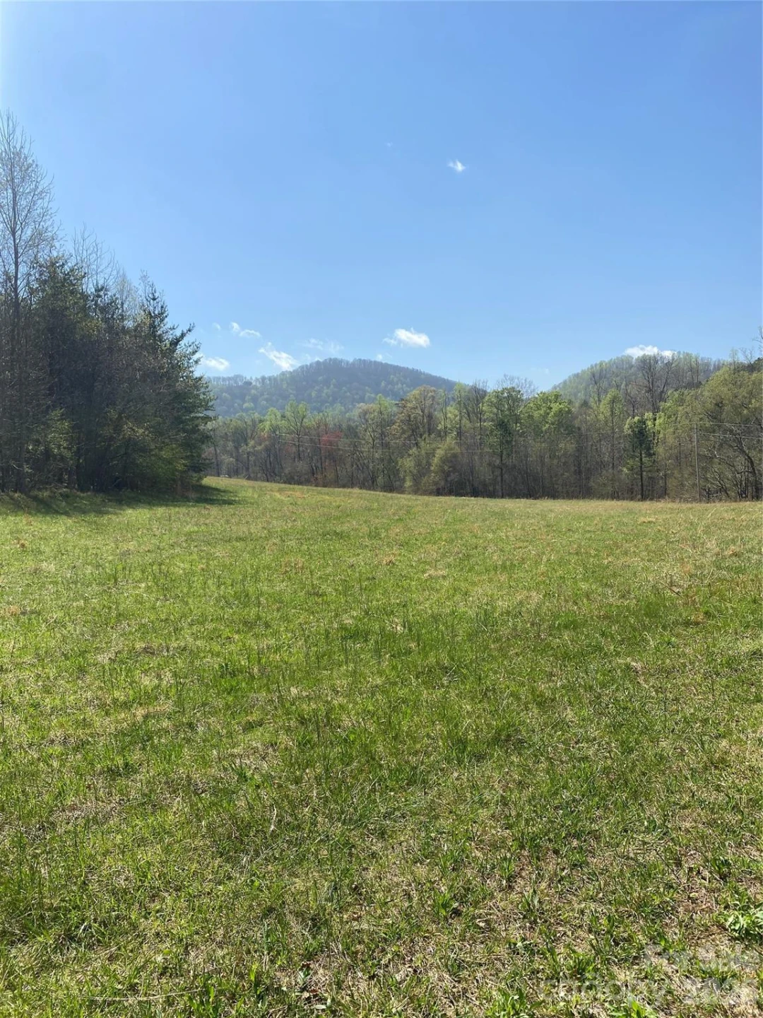 00 Cane Creek Mountain Road #1 - Photo 10