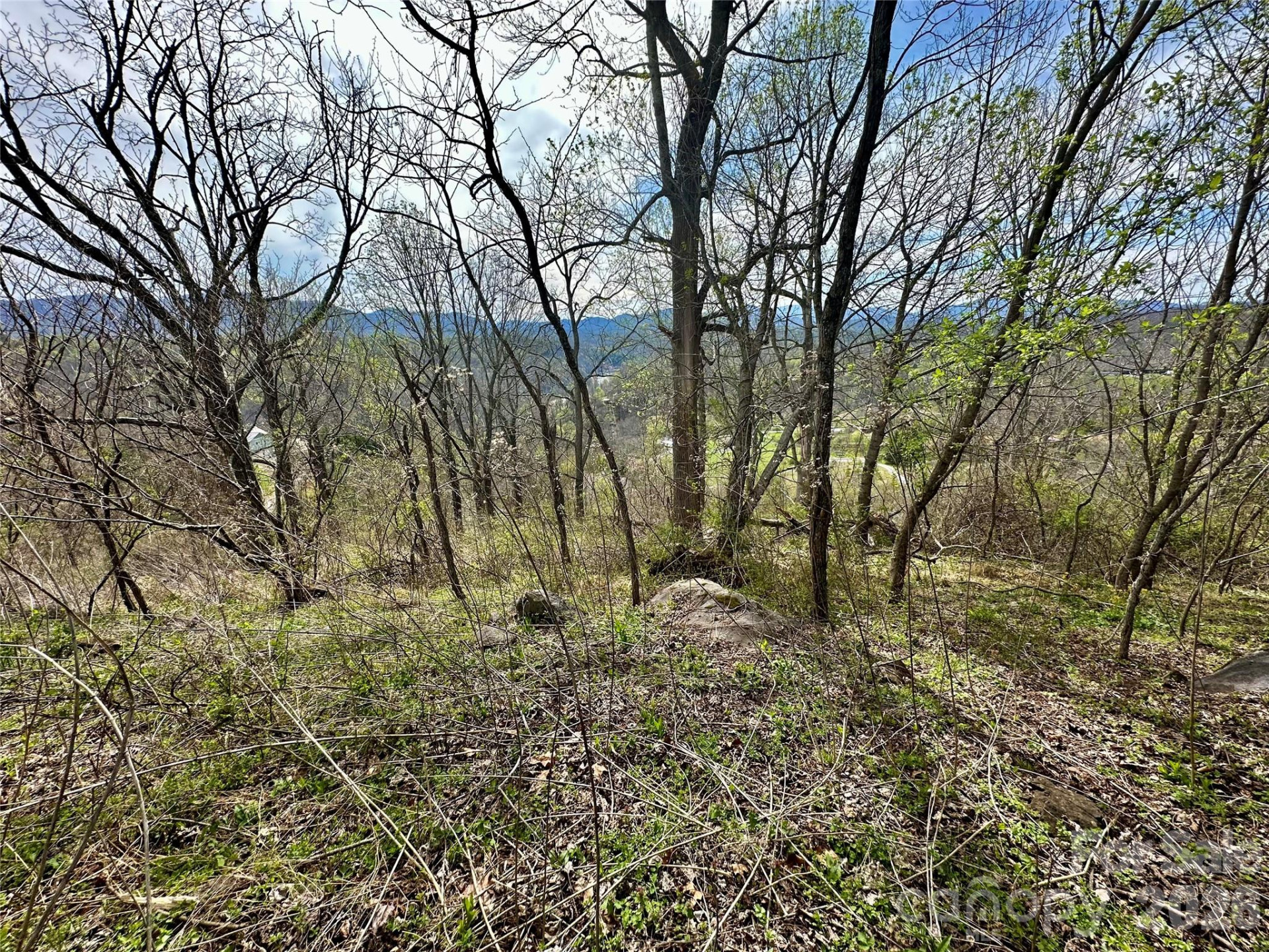 000 Sunset Mountain Road #12 - Photo 11