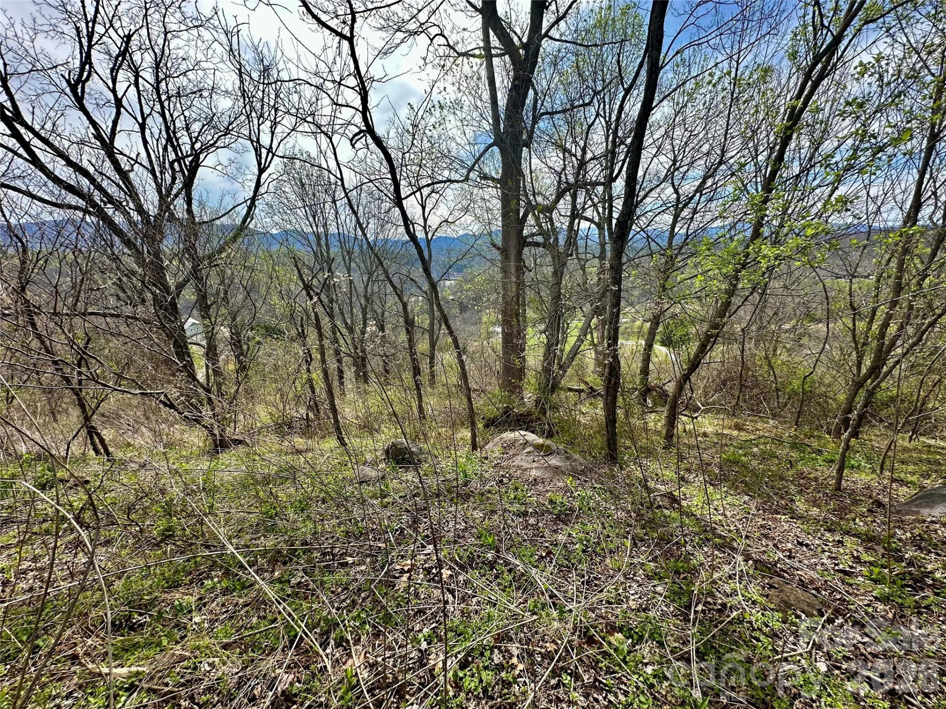 000 Sunset Mountain Road #12 - Photo 11