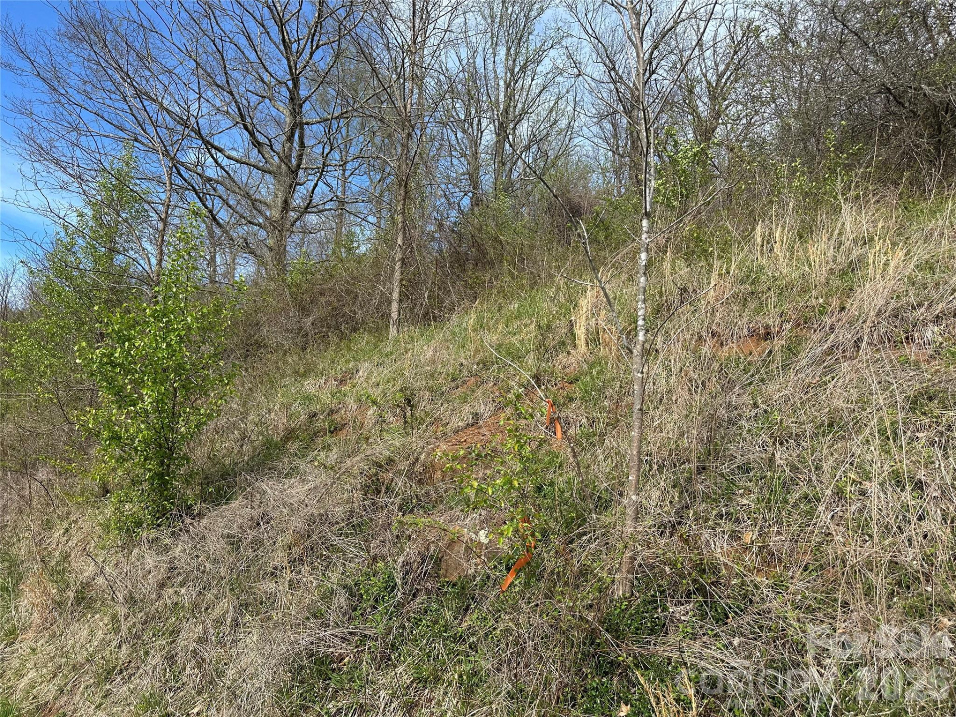 000 Sunset Mountain Road #12 - Photo 12