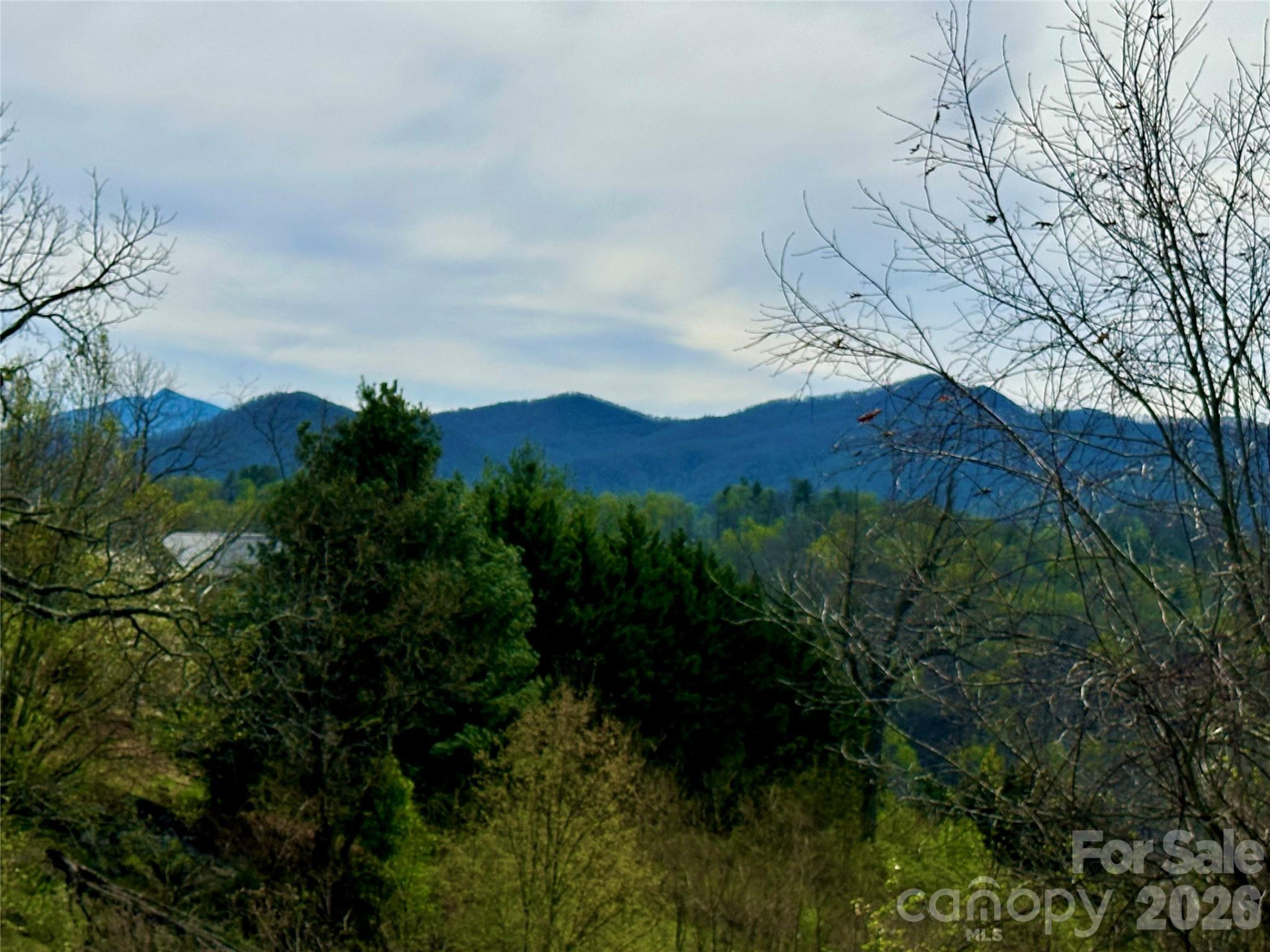 000 Sunset Mountain Road #12 - Photo 14