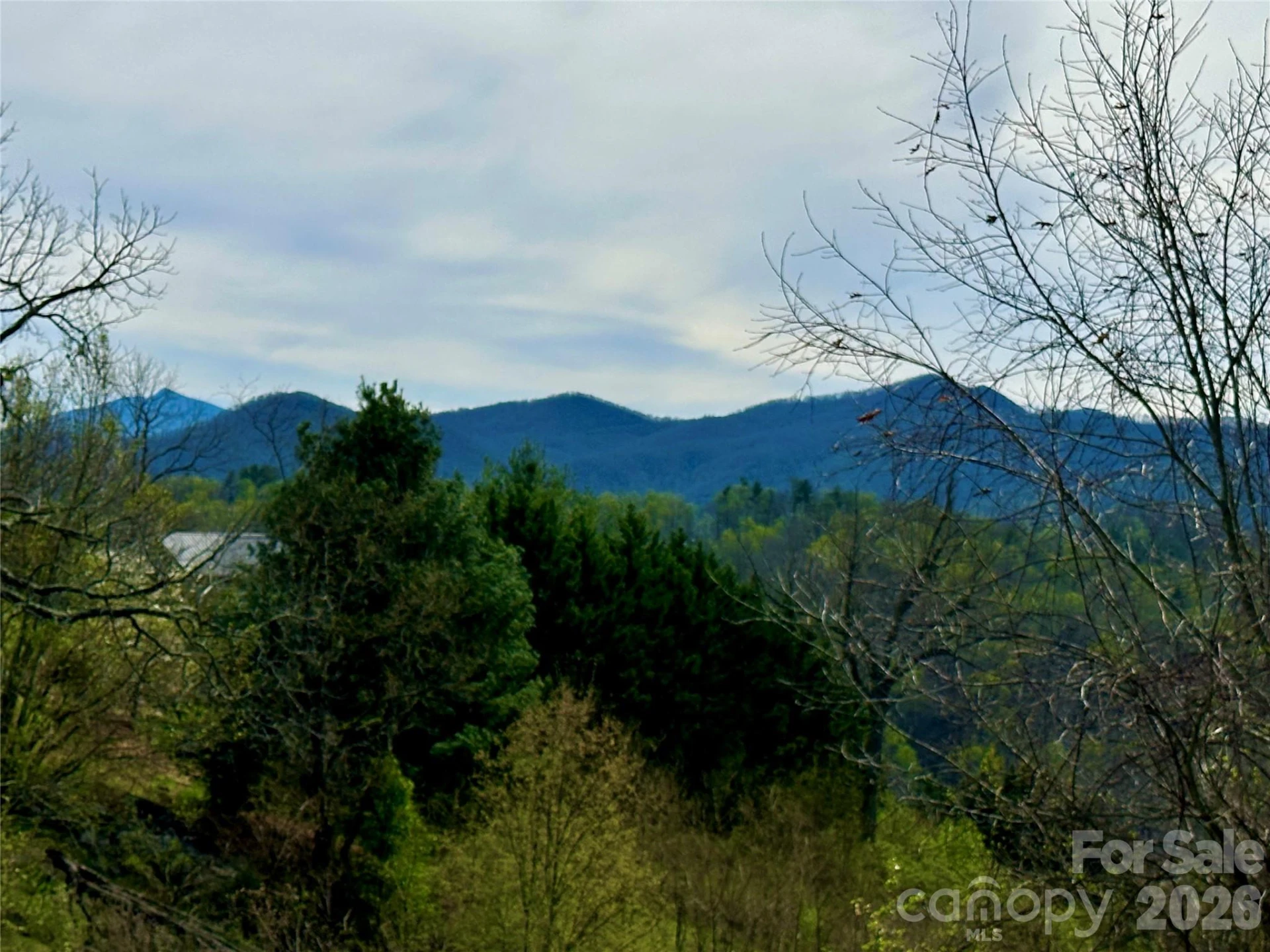 000 Sunset Mountain Road #12 - Photo 14