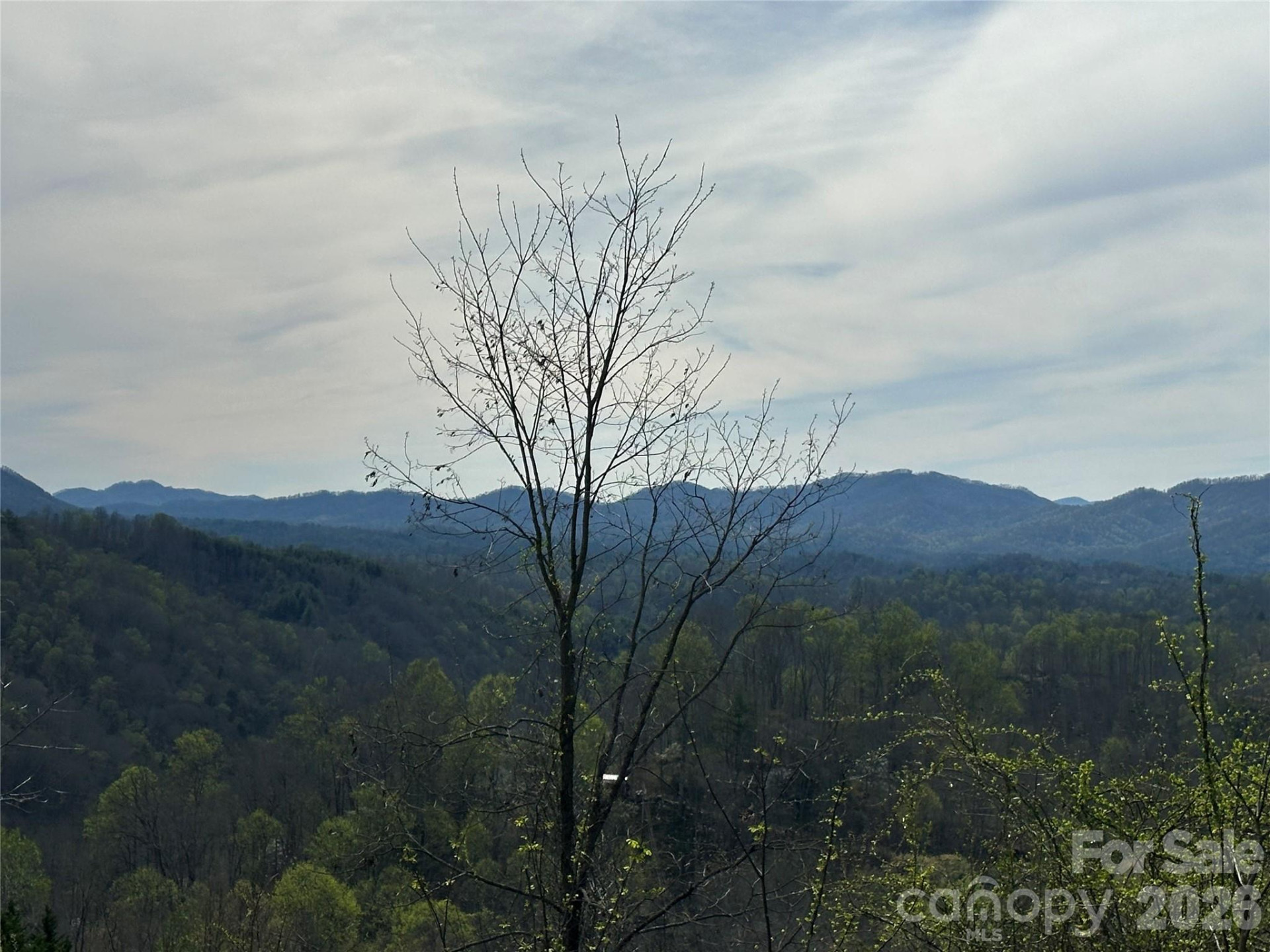 000 Sunset Mountain Road #12 - Photo 15