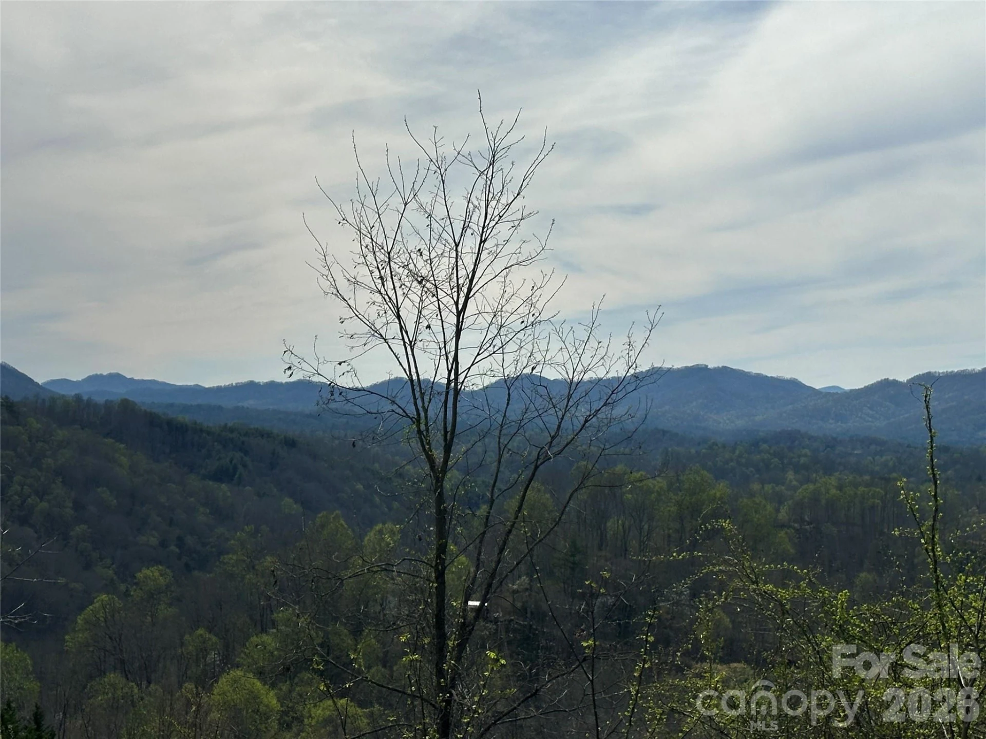 000 Sunset Mountain Road #12 - Photo 15