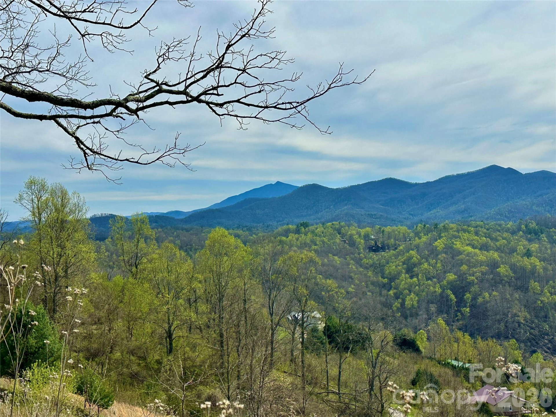 000 Sunset Mountain Road #12 - Photo 16