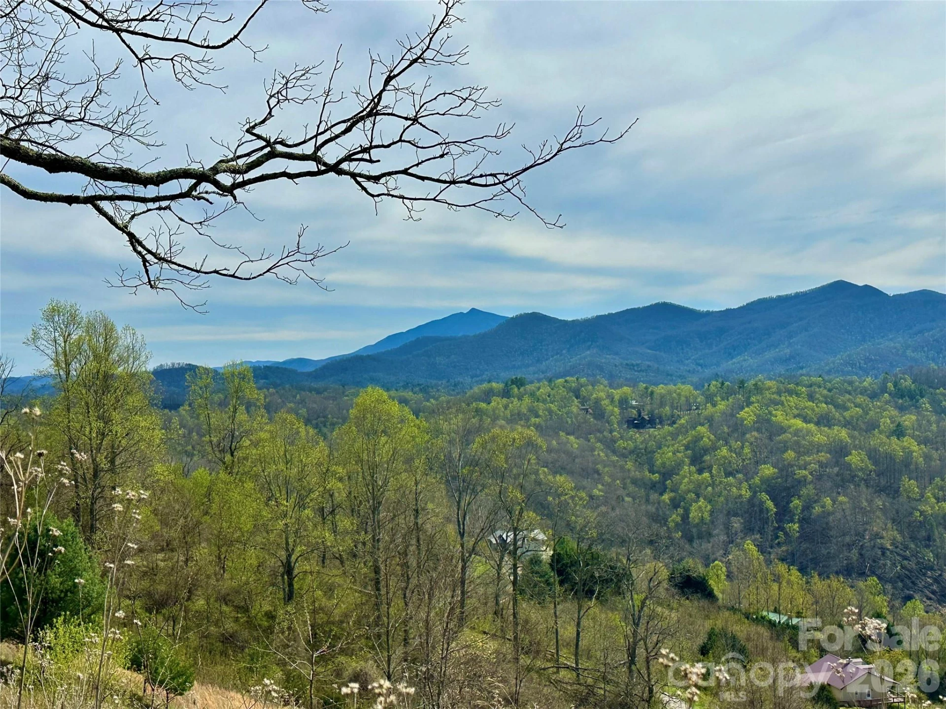 000 Sunset Mountain Road #12 - Photo 16