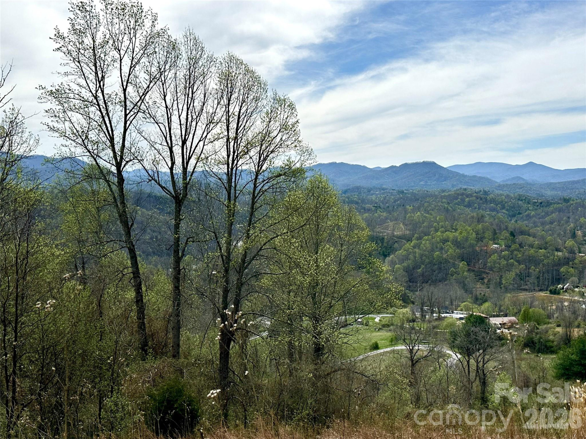 000 Sunset Mountain Road #12 - Photo 3