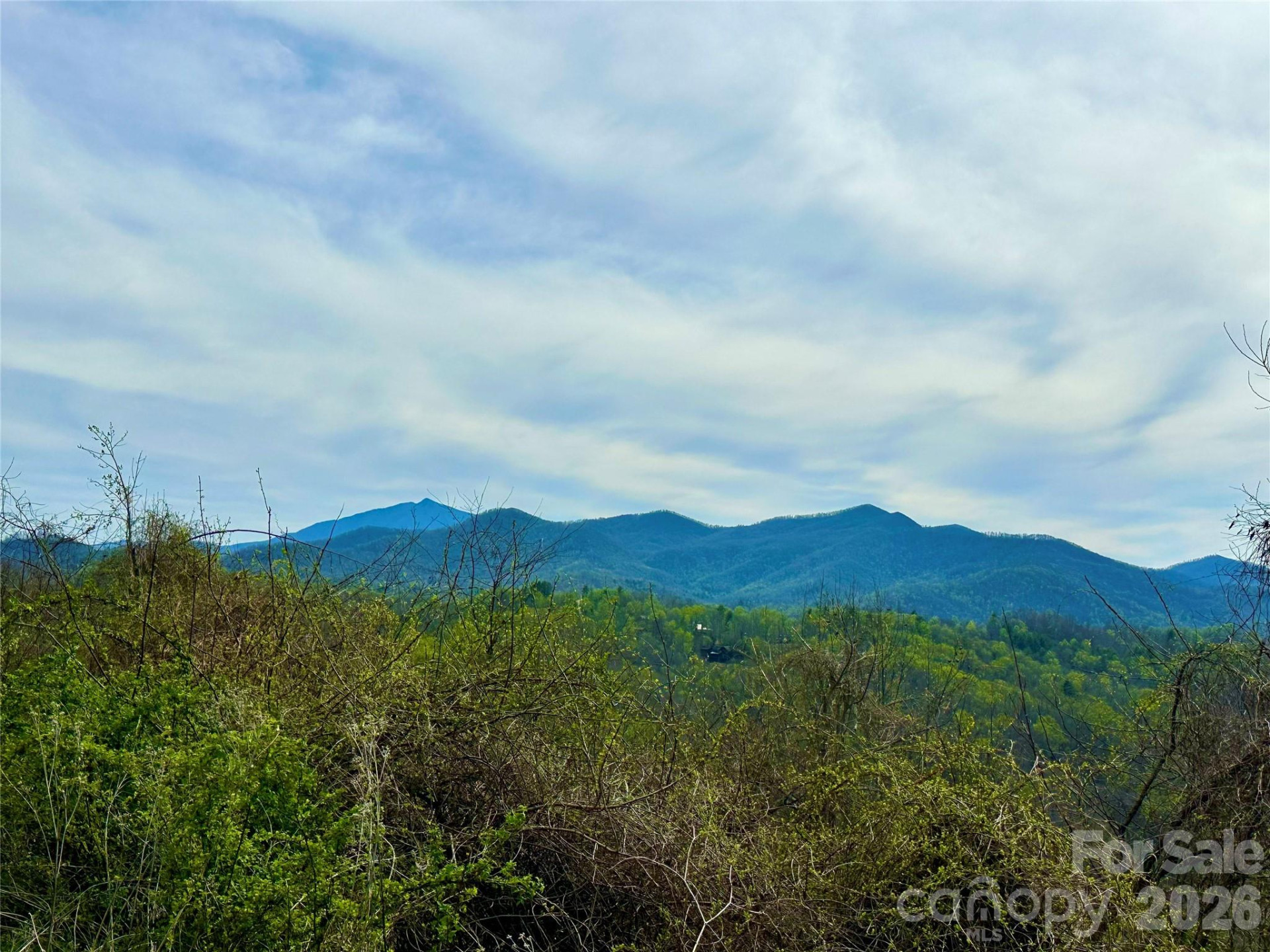 000 Sunset Mountain Road #12 - Photo 4