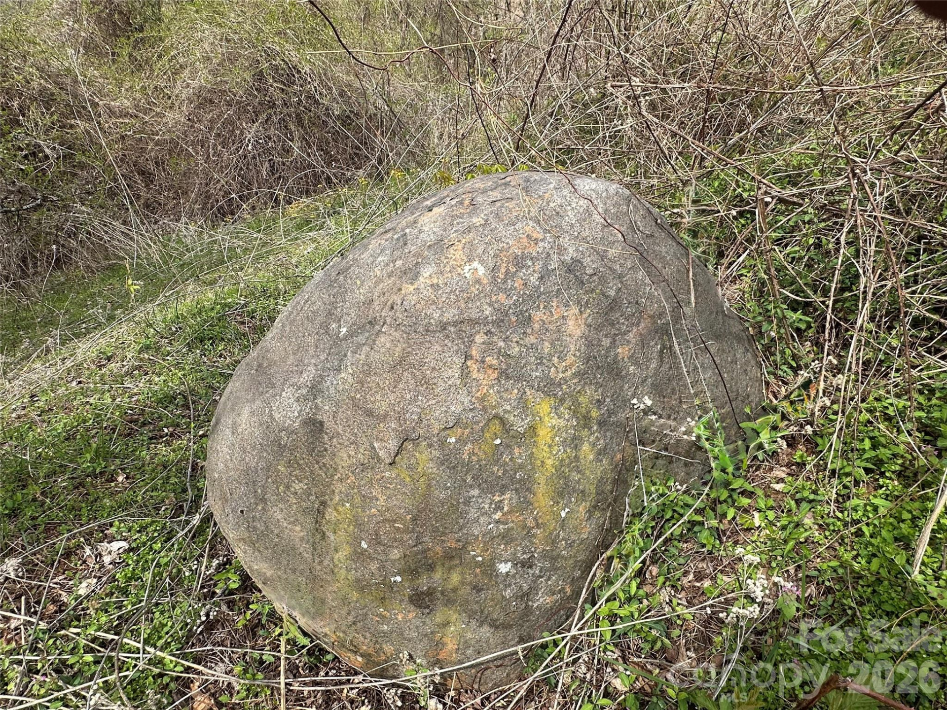 000 Sunset Mountain Road #12 - Photo 5