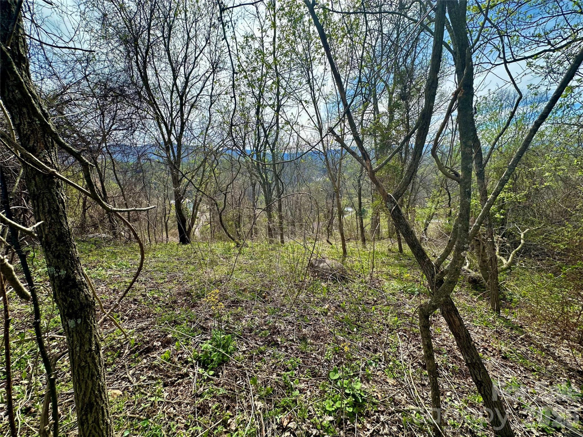 000 Sunset Mountain Road #12 - Photo 6