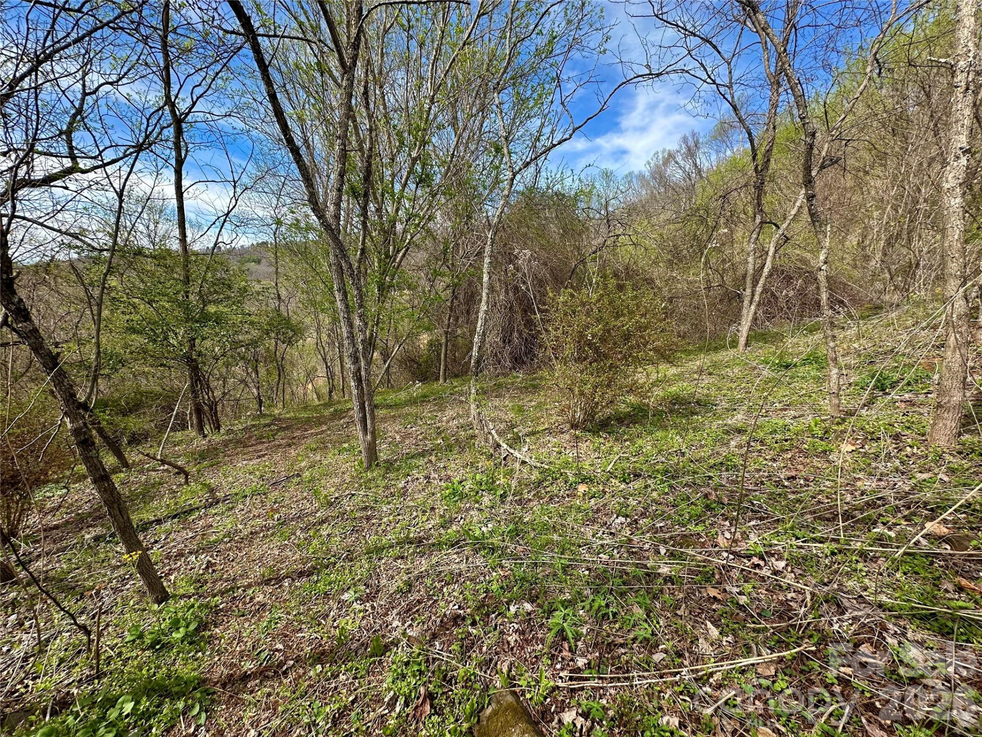 000 Sunset Mountain Road #12 - Photo 7