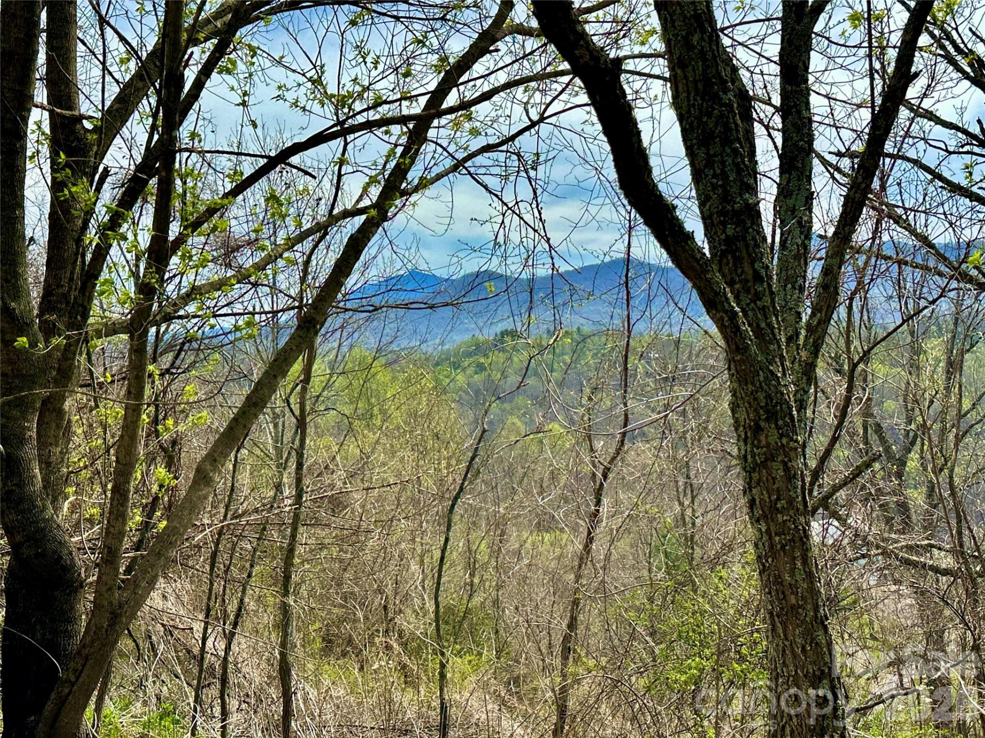 000 Sunset Mountain Road #12 - Photo 8