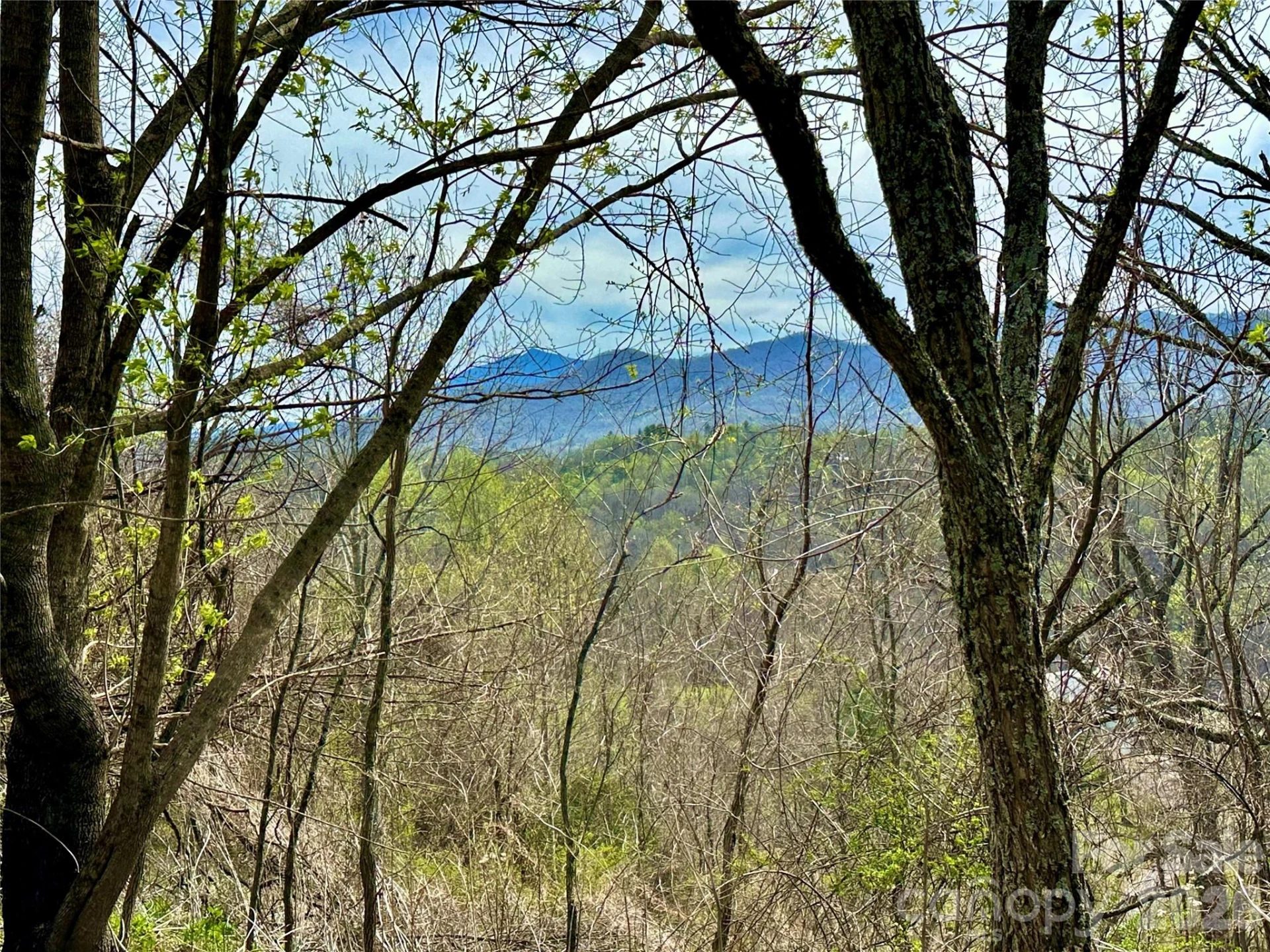 000 Sunset Mountain Road #12 - Photo 8