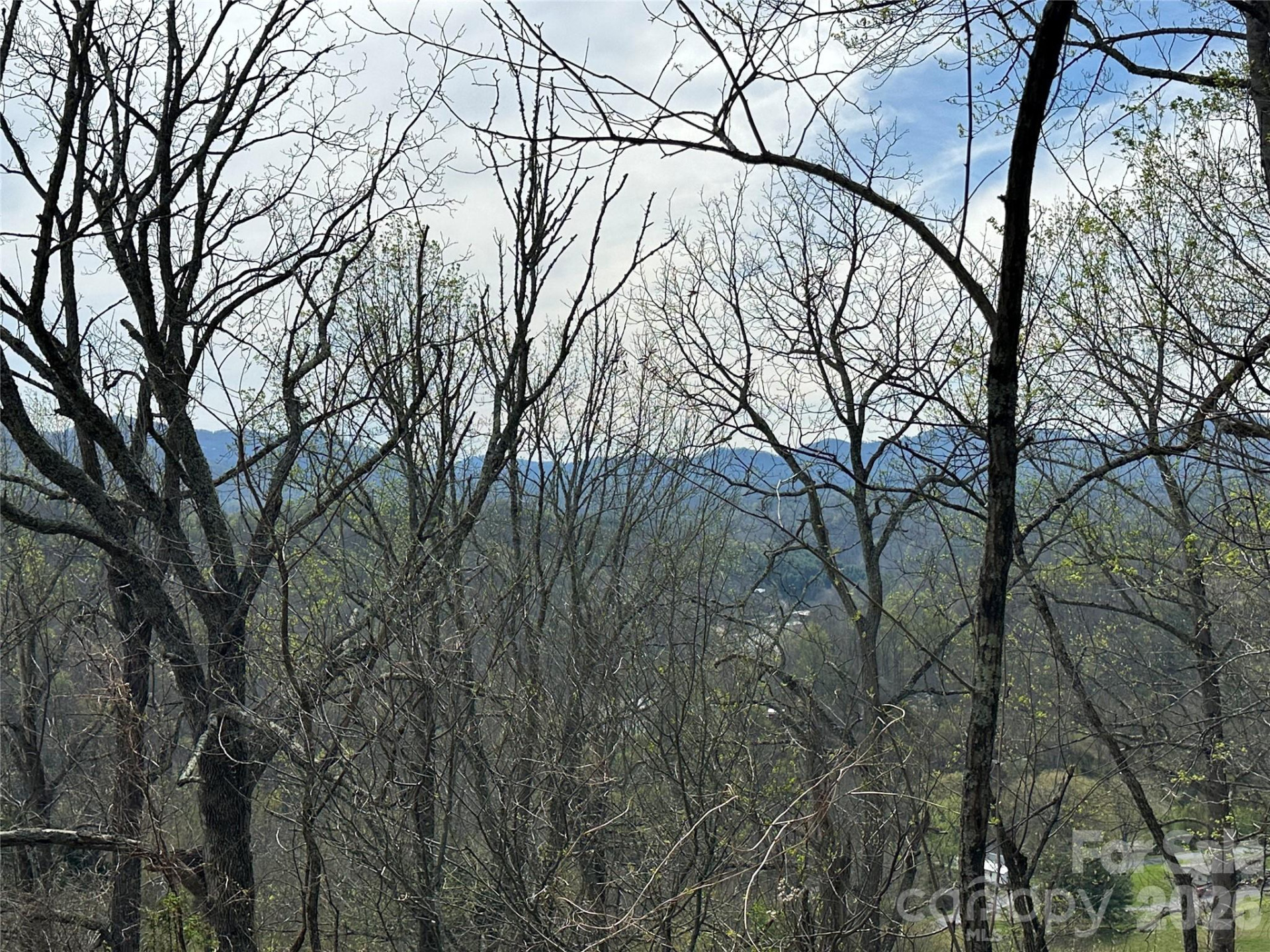 000 Sunset Mountain Road #12 - Photo 9