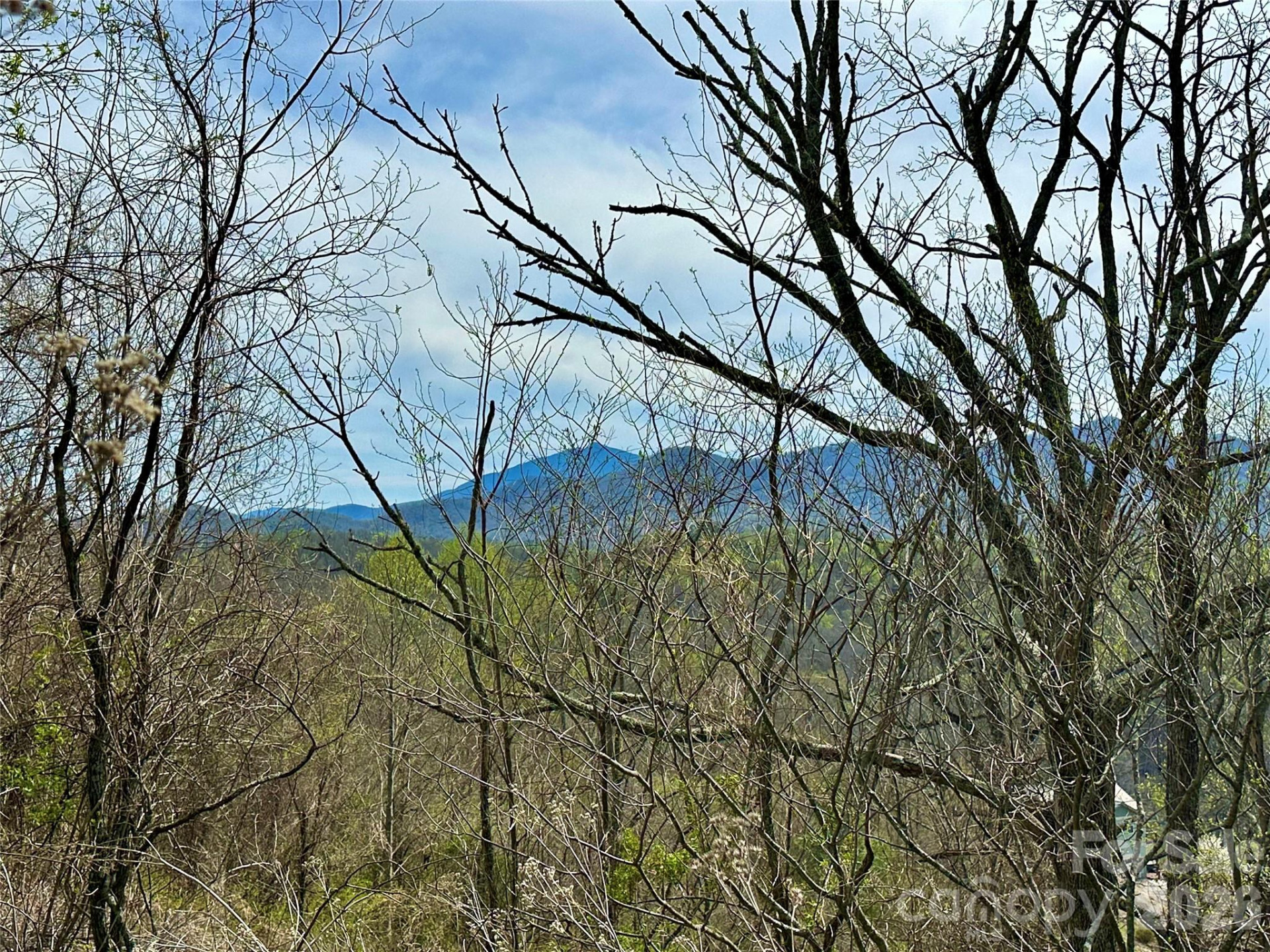 000 Sunset Mountain Road #12 - Photo 10