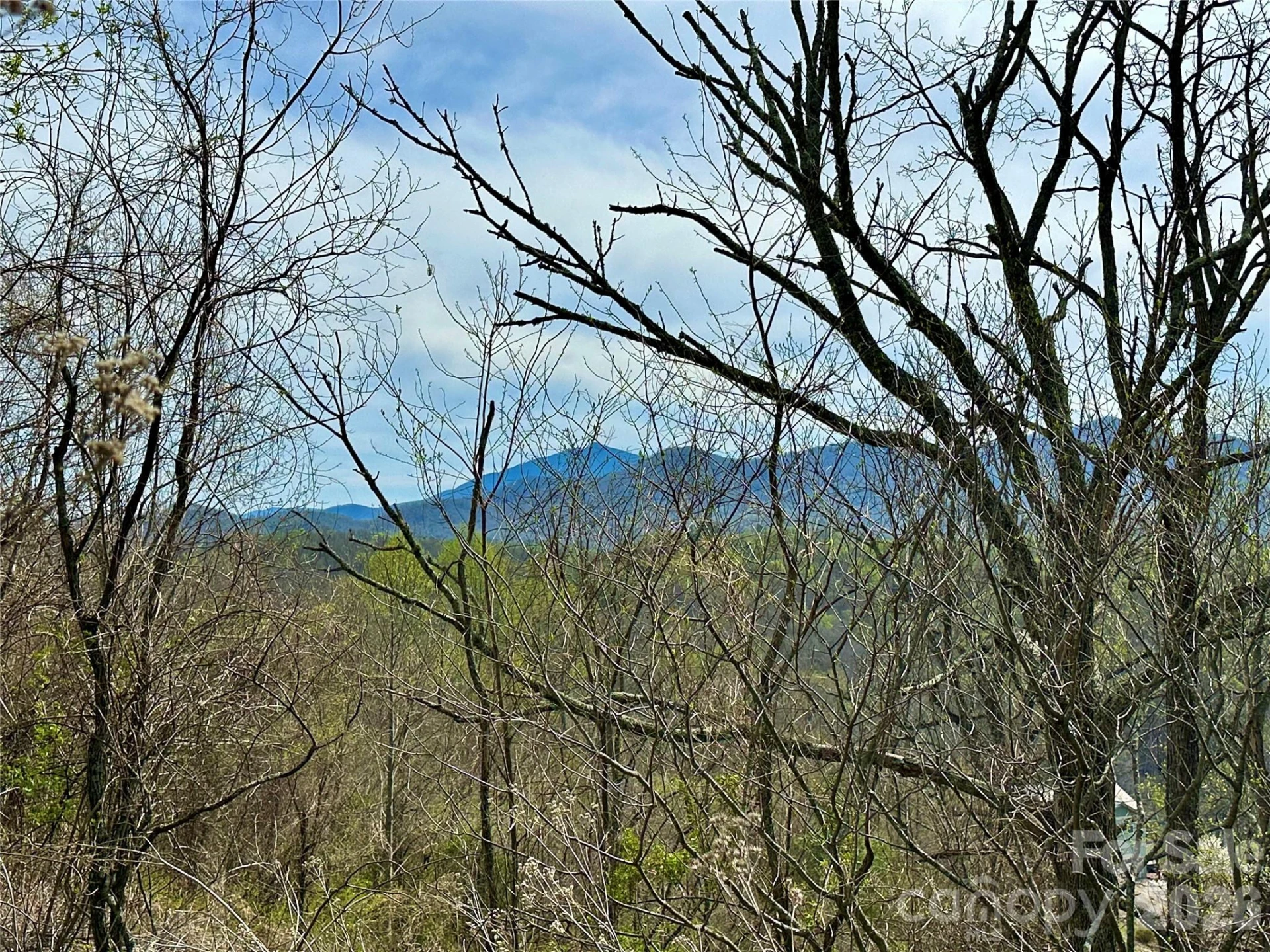 000 Sunset Mountain Road #12 - Photo 10