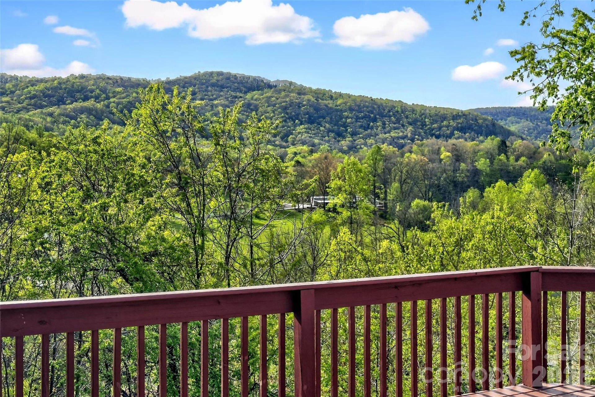 82 Landis Road - Photo 19