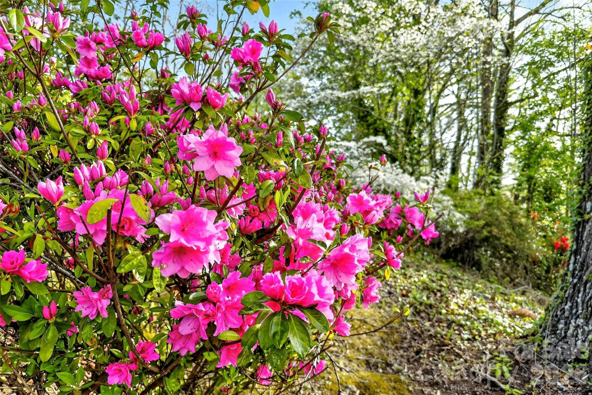 82 Landis Road - Photo 38