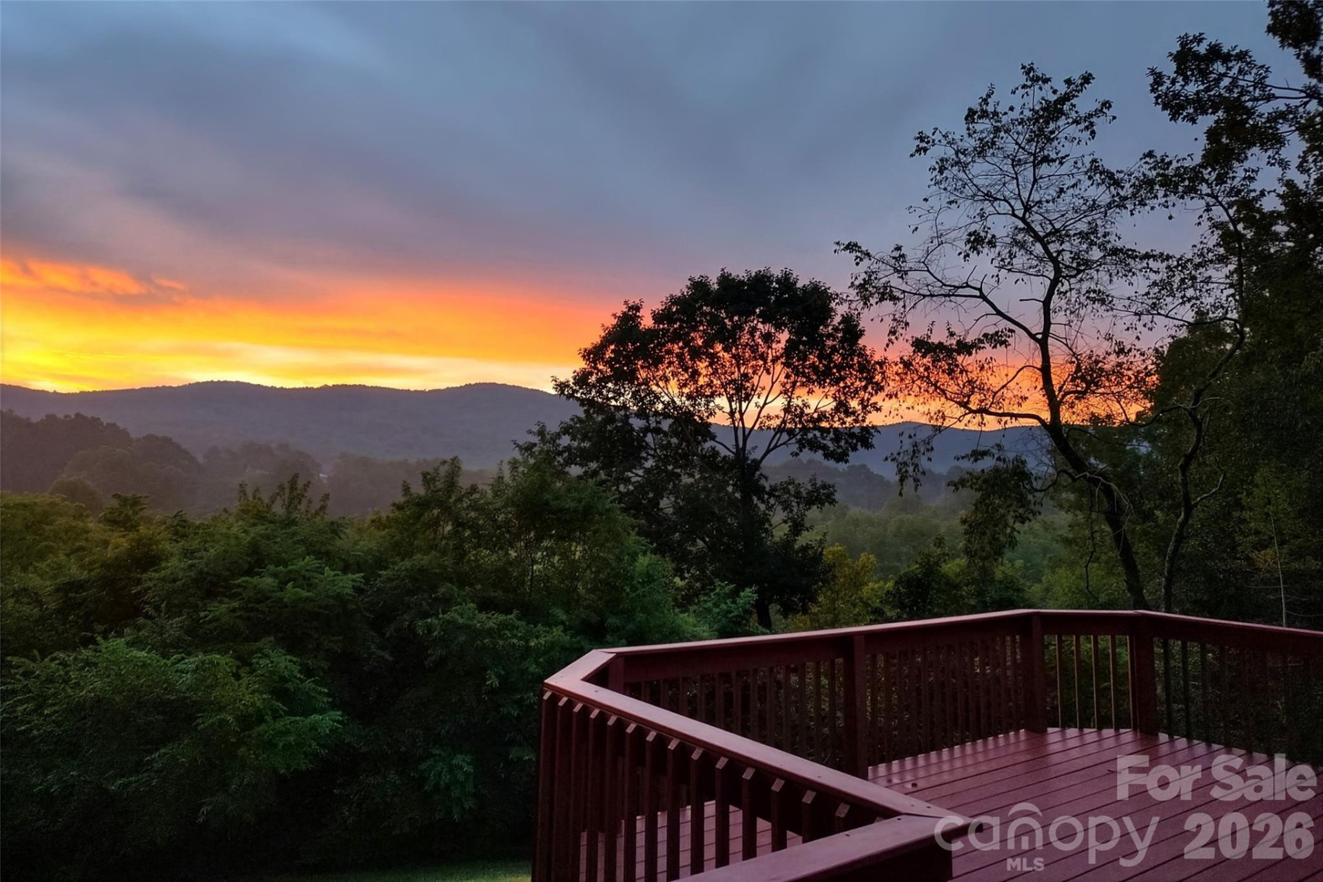 82 Landis Road - Photo 48