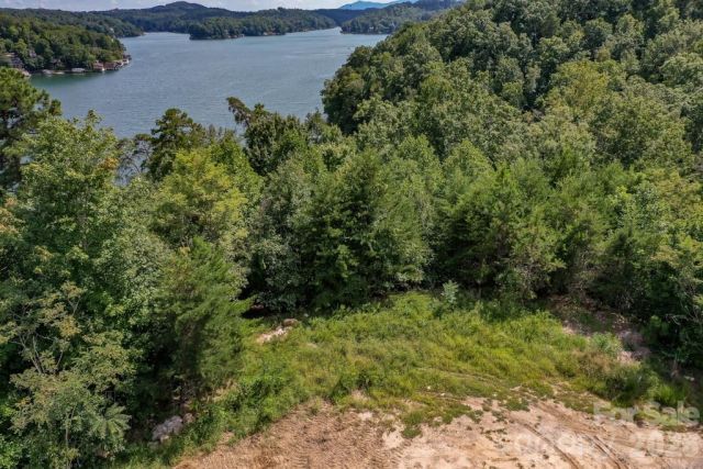 000 Holmstead Drive, Lake Lure, NC, 28746