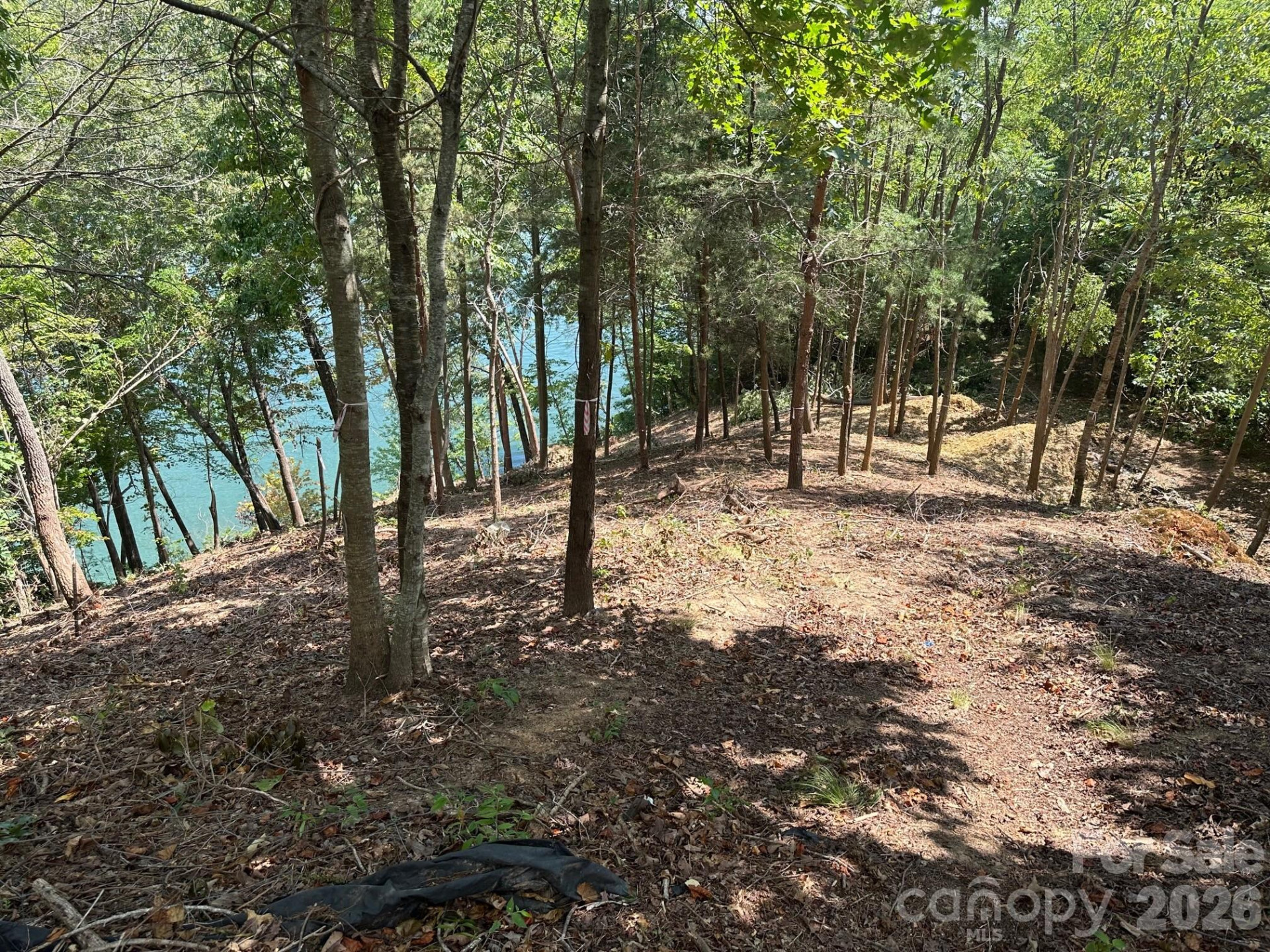 000 Holmstead Drive - Photo 11