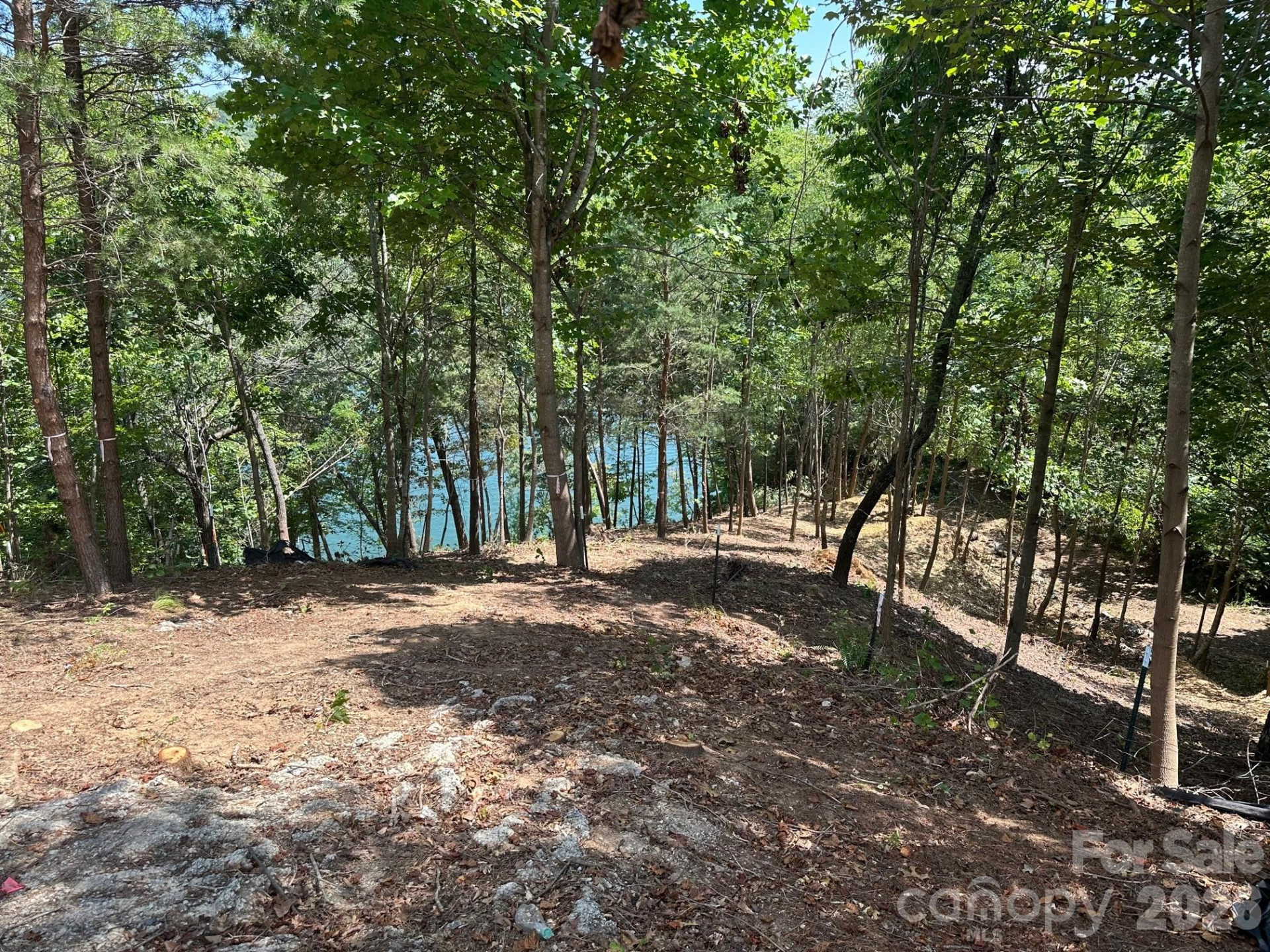 000 Holmstead Drive - Photo 13