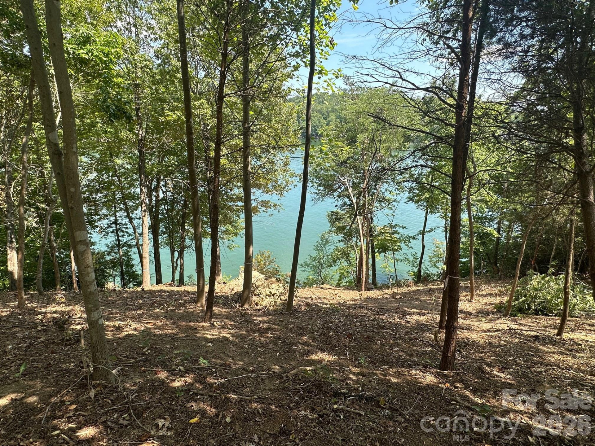 000 Holmstead Drive - Photo 14