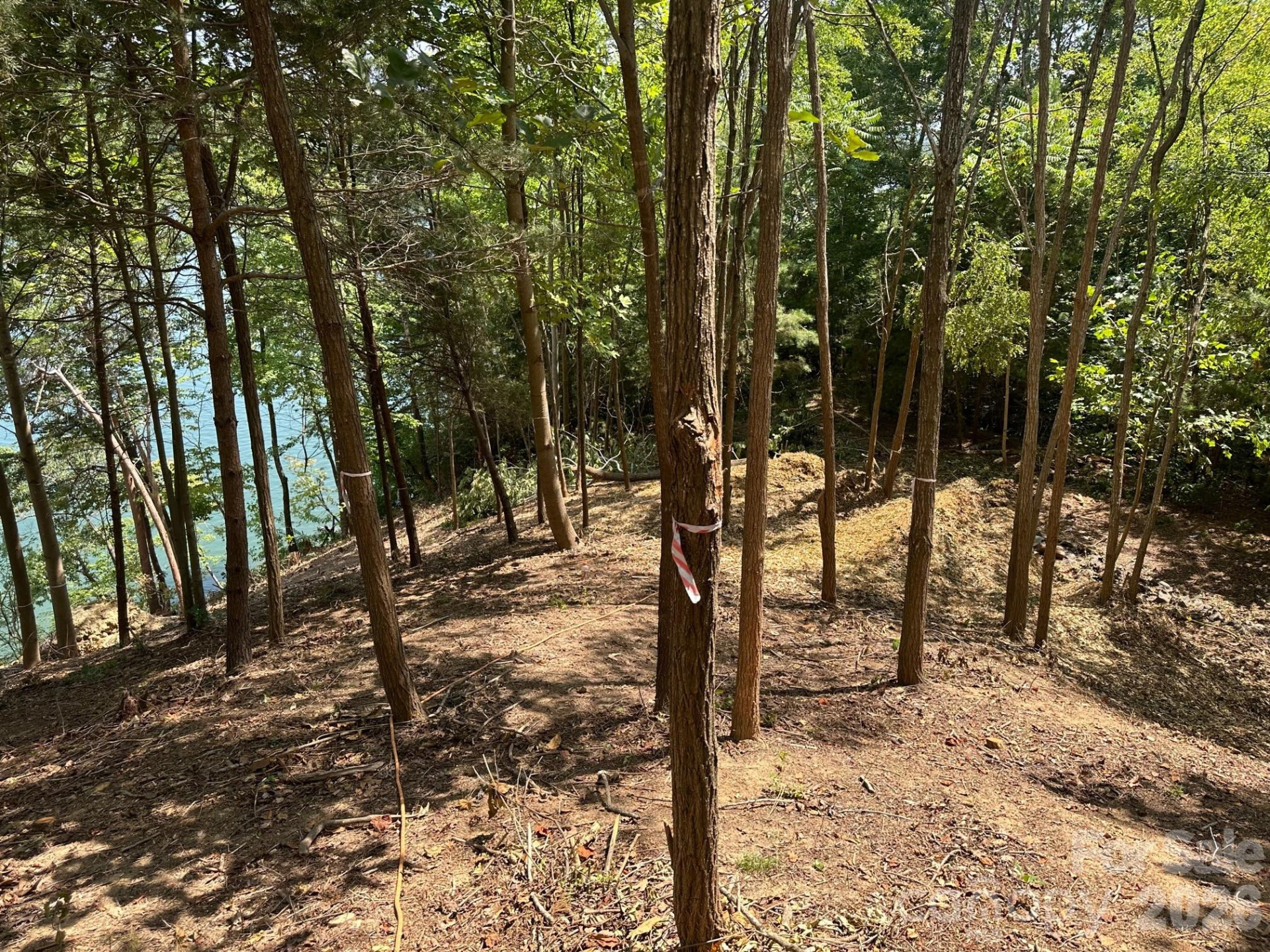 000 Holmstead Drive - Photo 15