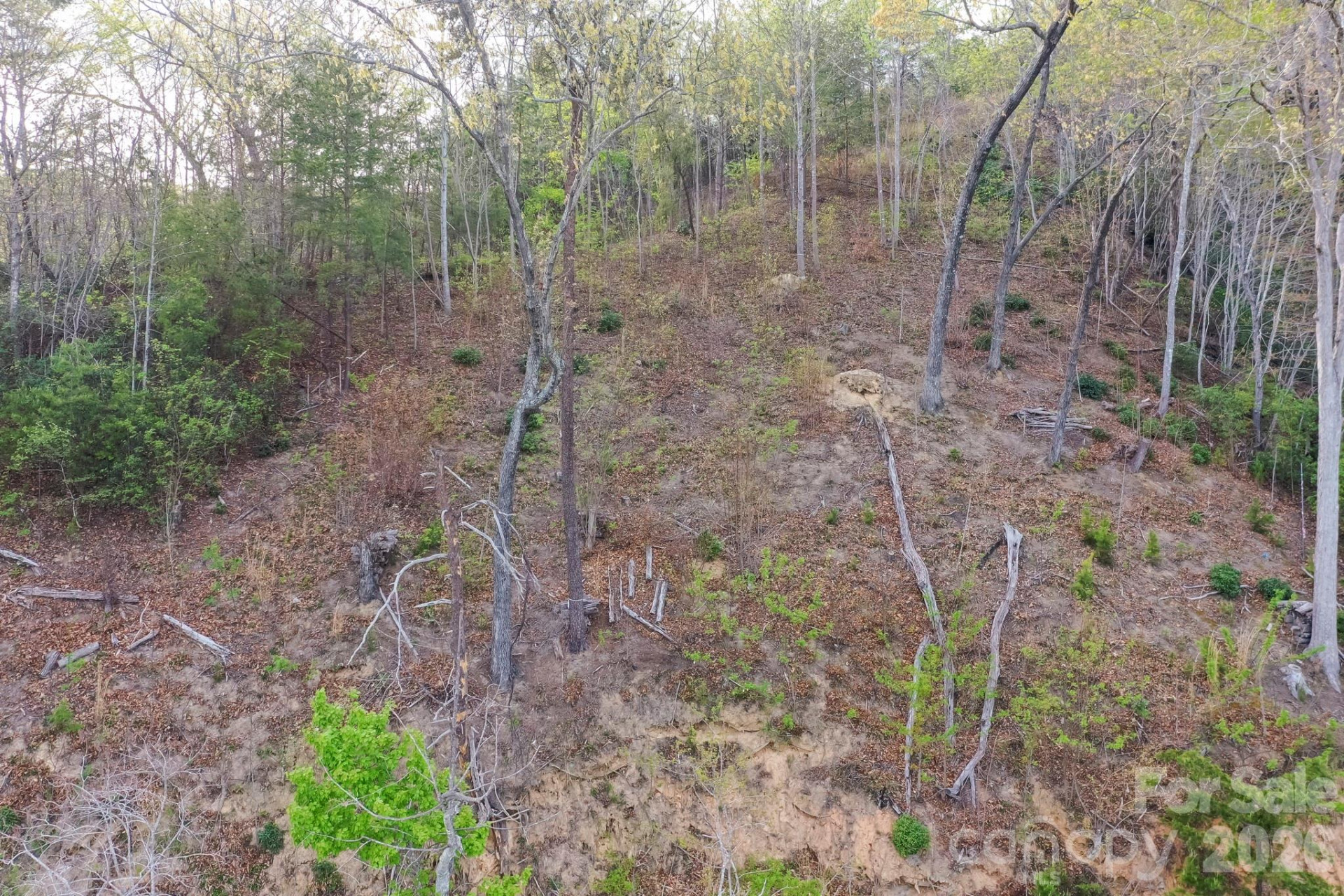 000 Holmstead Drive - Photo 20