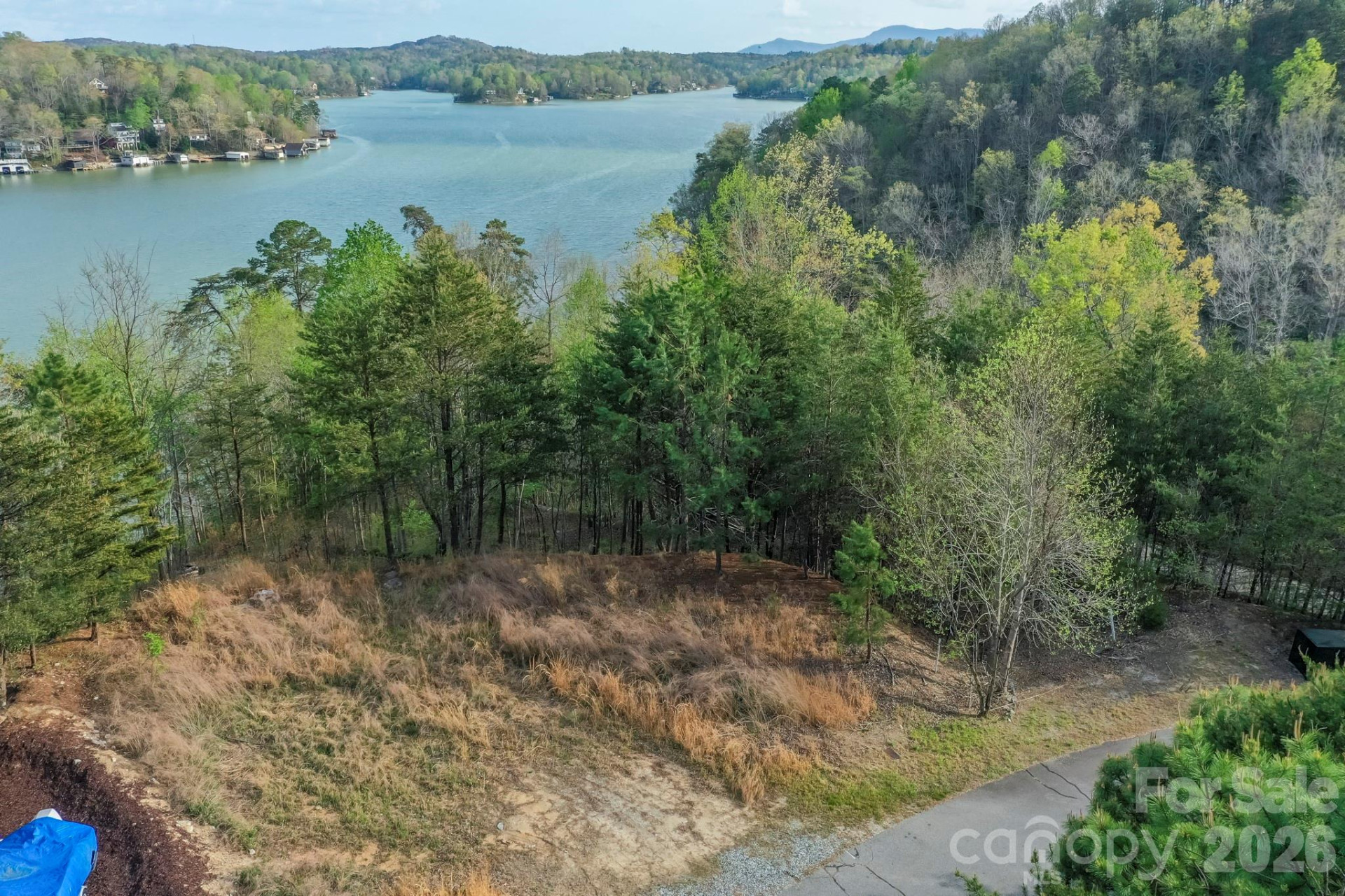 000 Holmstead Drive - Photo 4