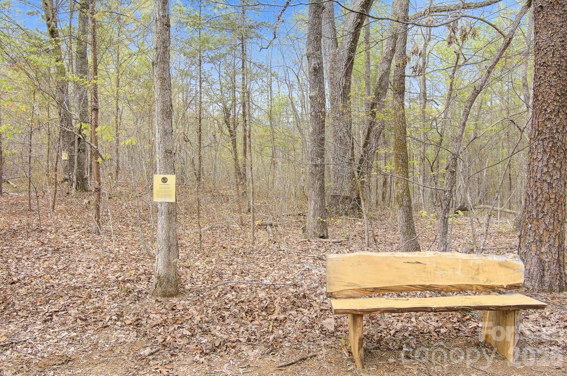 1003 Camp Creek Road - Photo 42