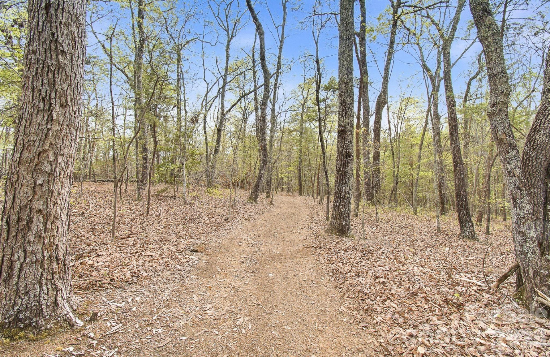 1003 Camp Creek Road - Photo 43