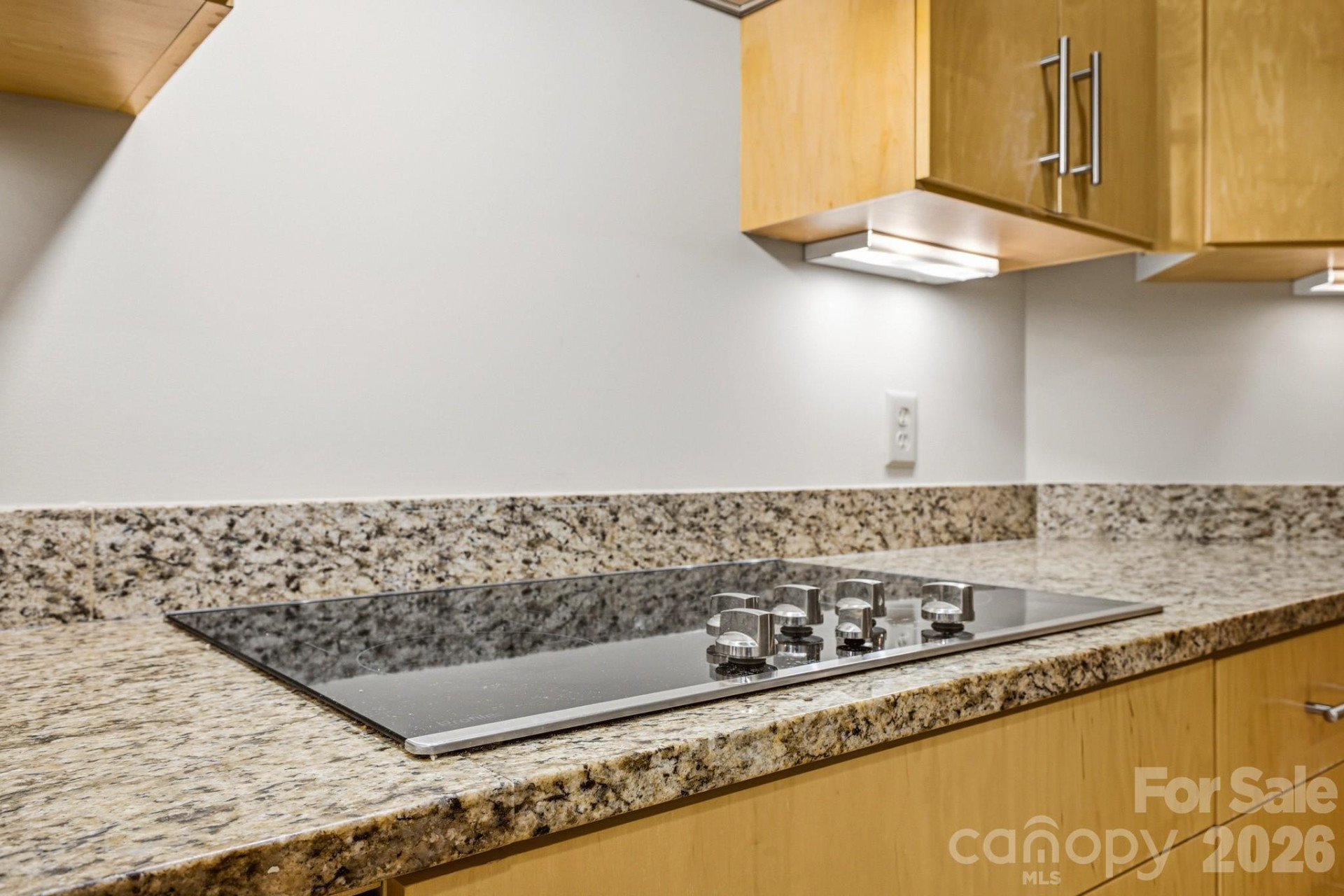 21 Battery Park Avenue #307 - Photo 15