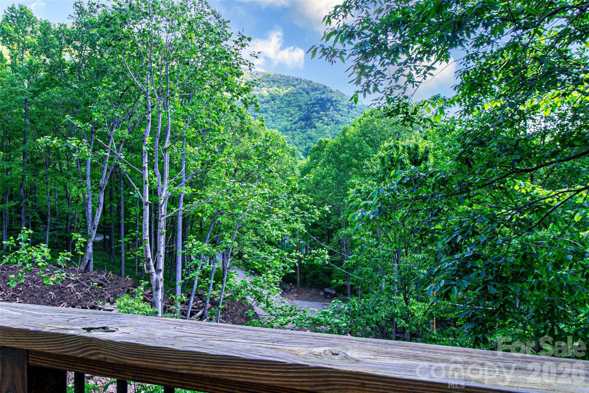 58 Great Aspen Way - Photo 2