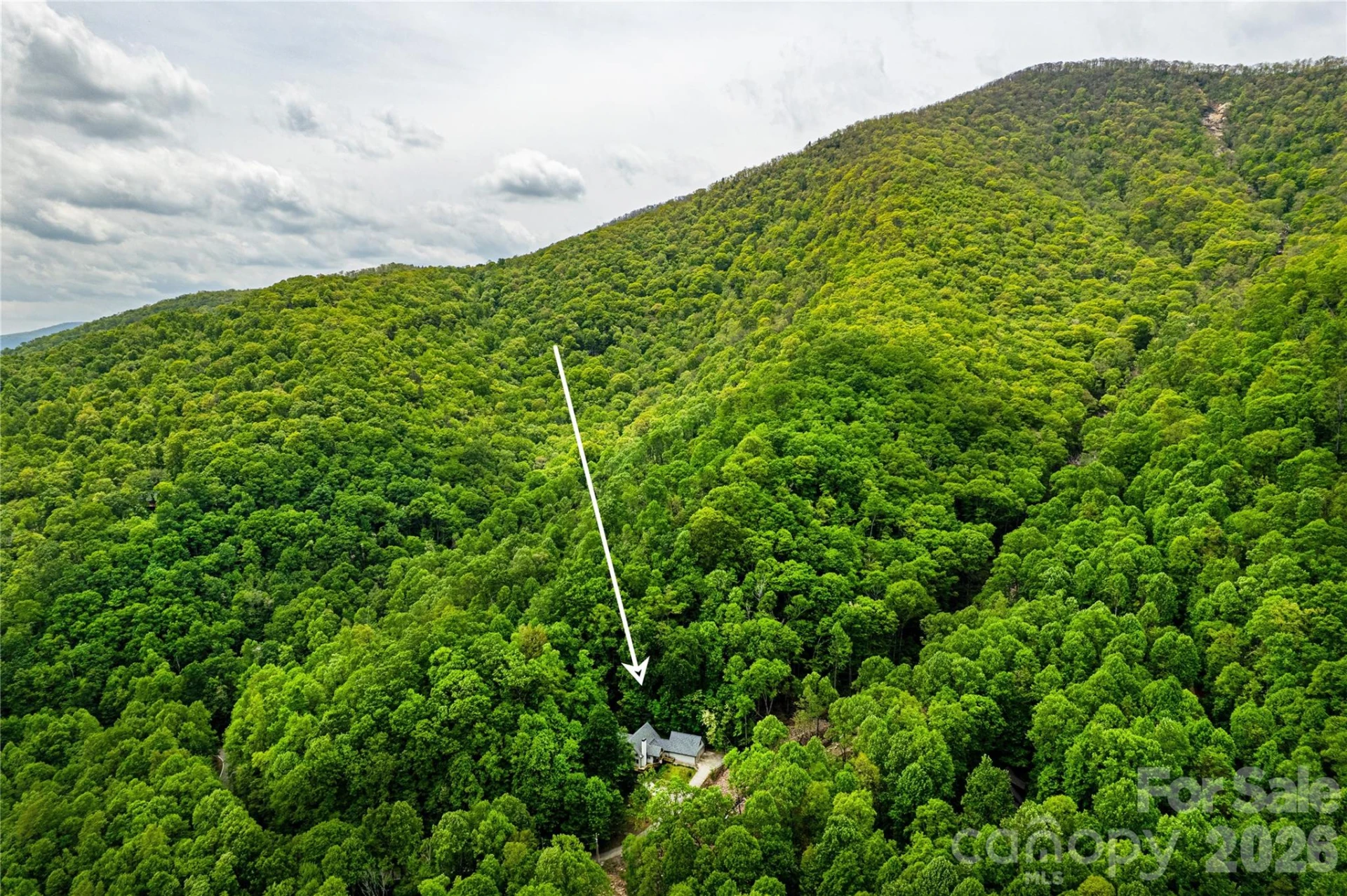 58 Great Aspen Way - Photo 3