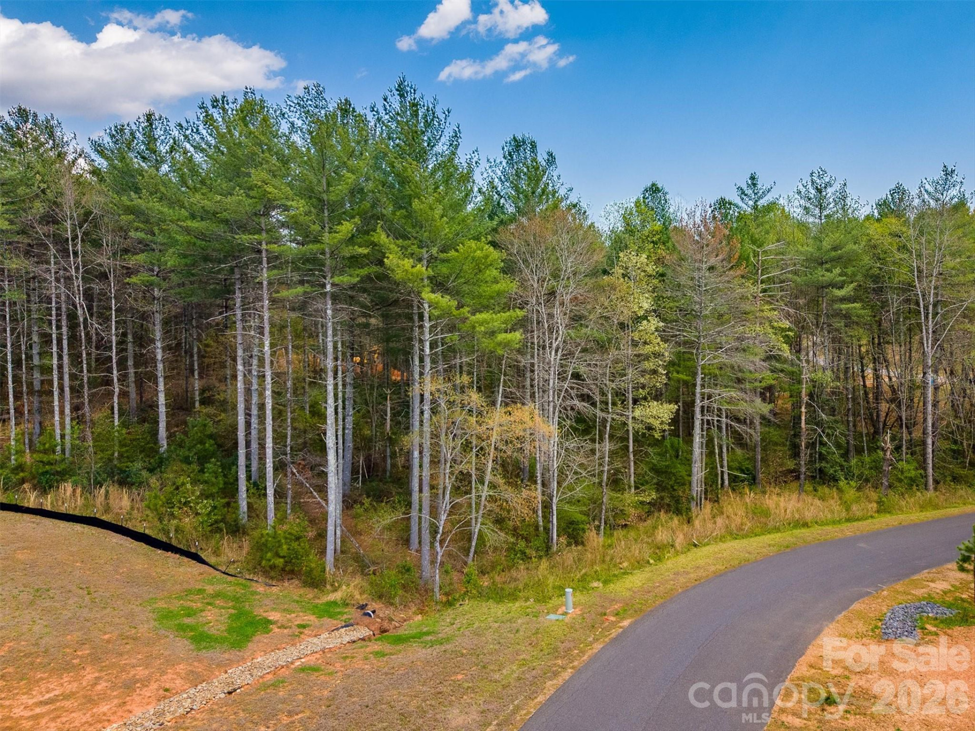 3175 Peninsula Pointe Drive - Photo 2