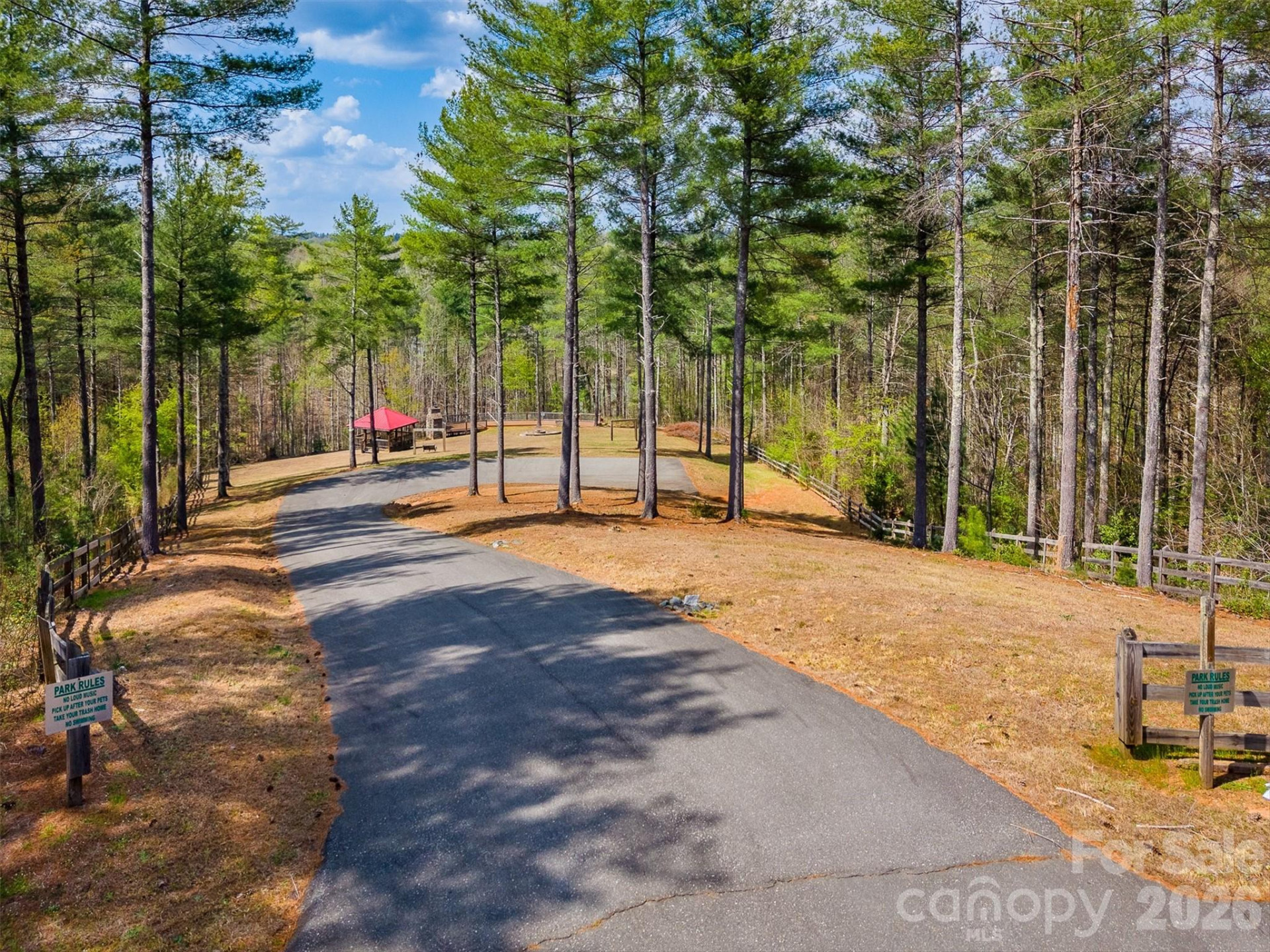 3175 Peninsula Pointe Drive - Photo 11