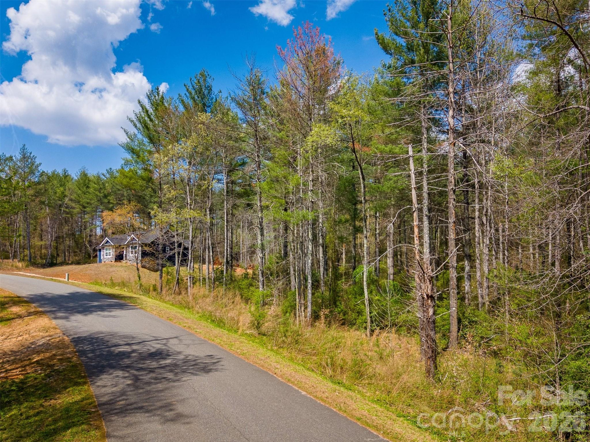 3175 Peninsula Pointe Drive - Photo 3