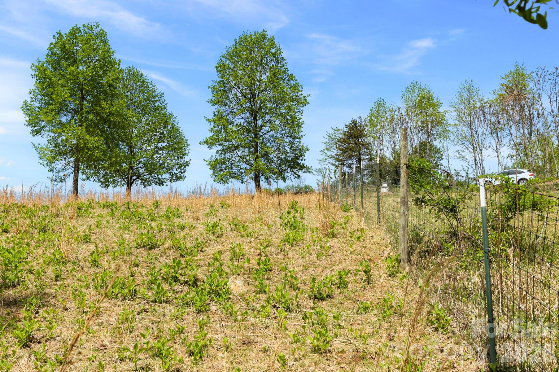 0 Simply Grateful Drive - Photo 11