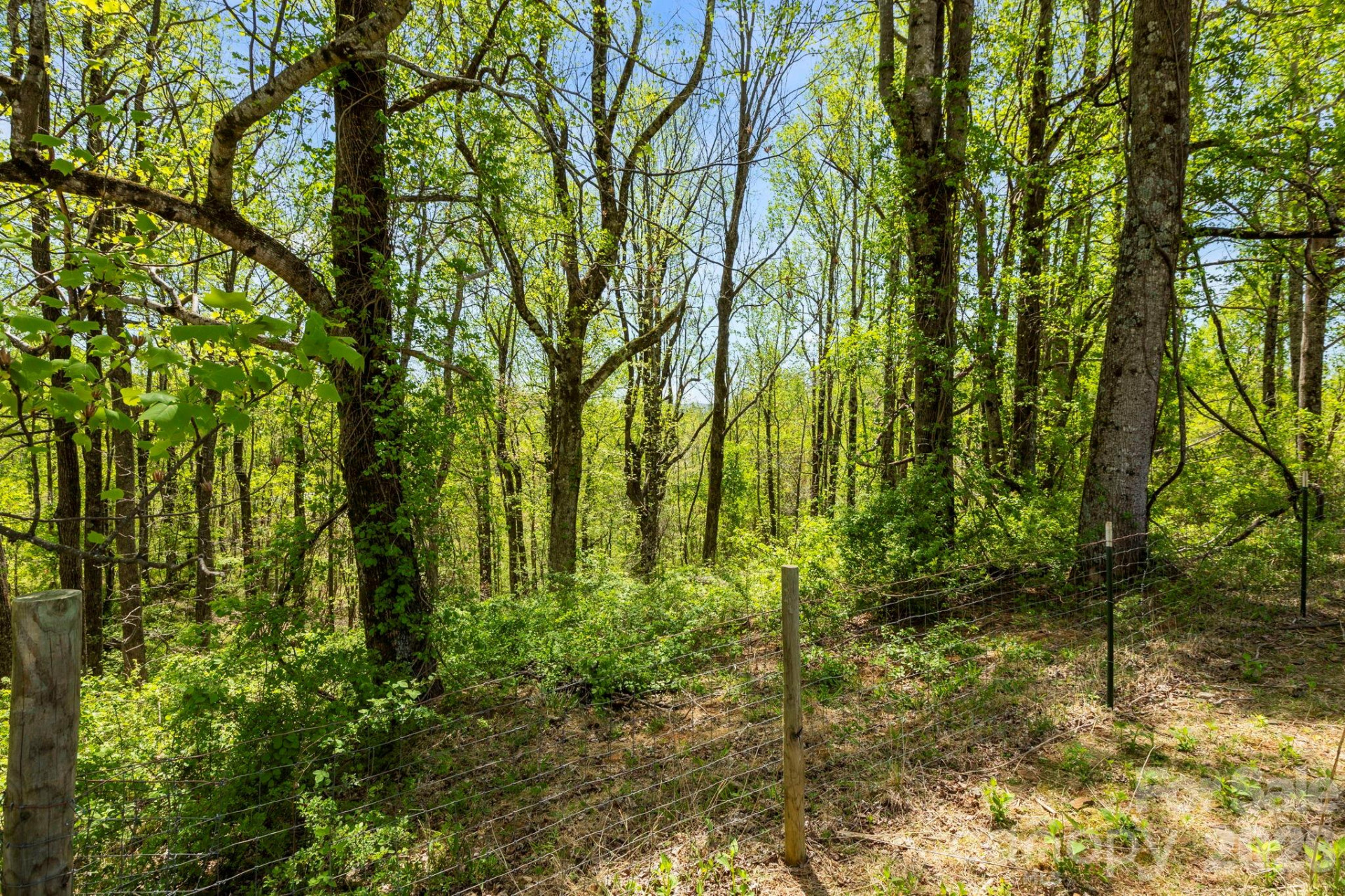 0 Simply Grateful Drive - Photo 7