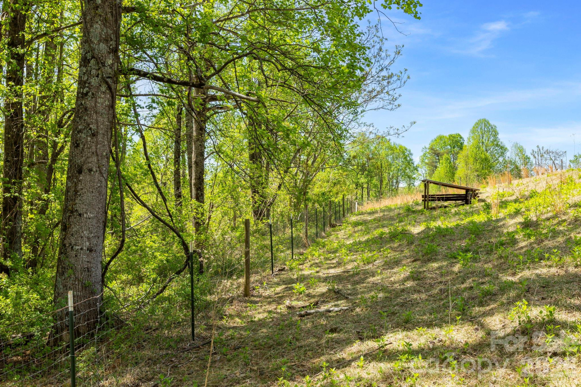 0 Simply Grateful Drive - Photo 8