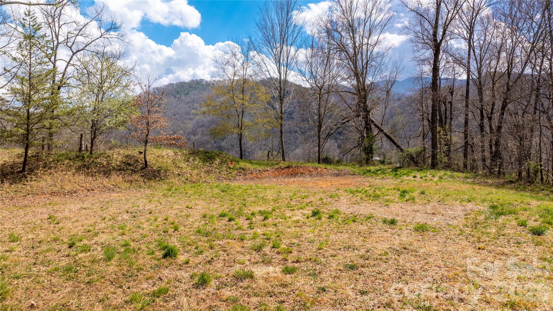 90 Last Coyote Trail - Photo 12