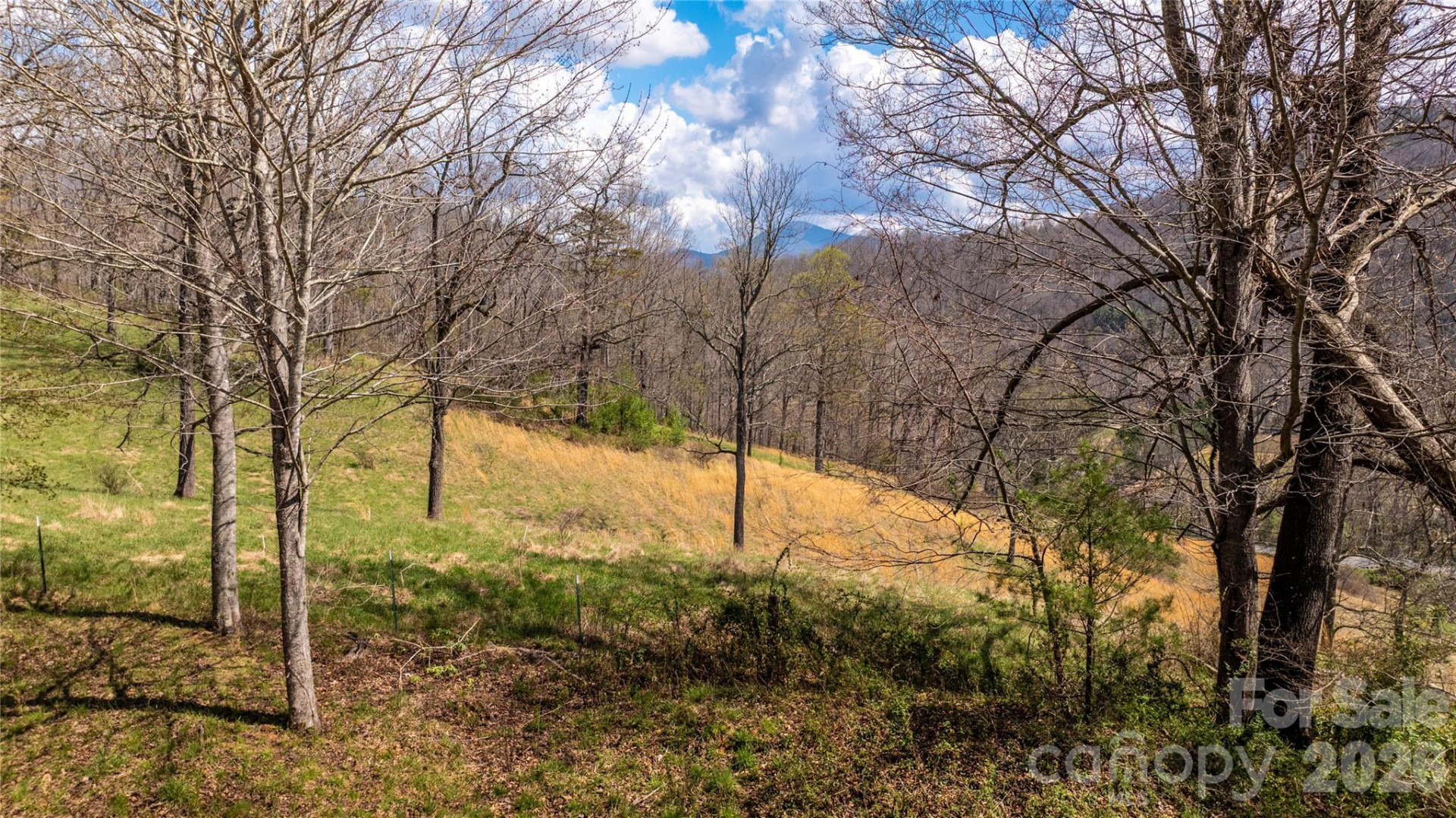 90 Last Coyote Trail - Photo 15