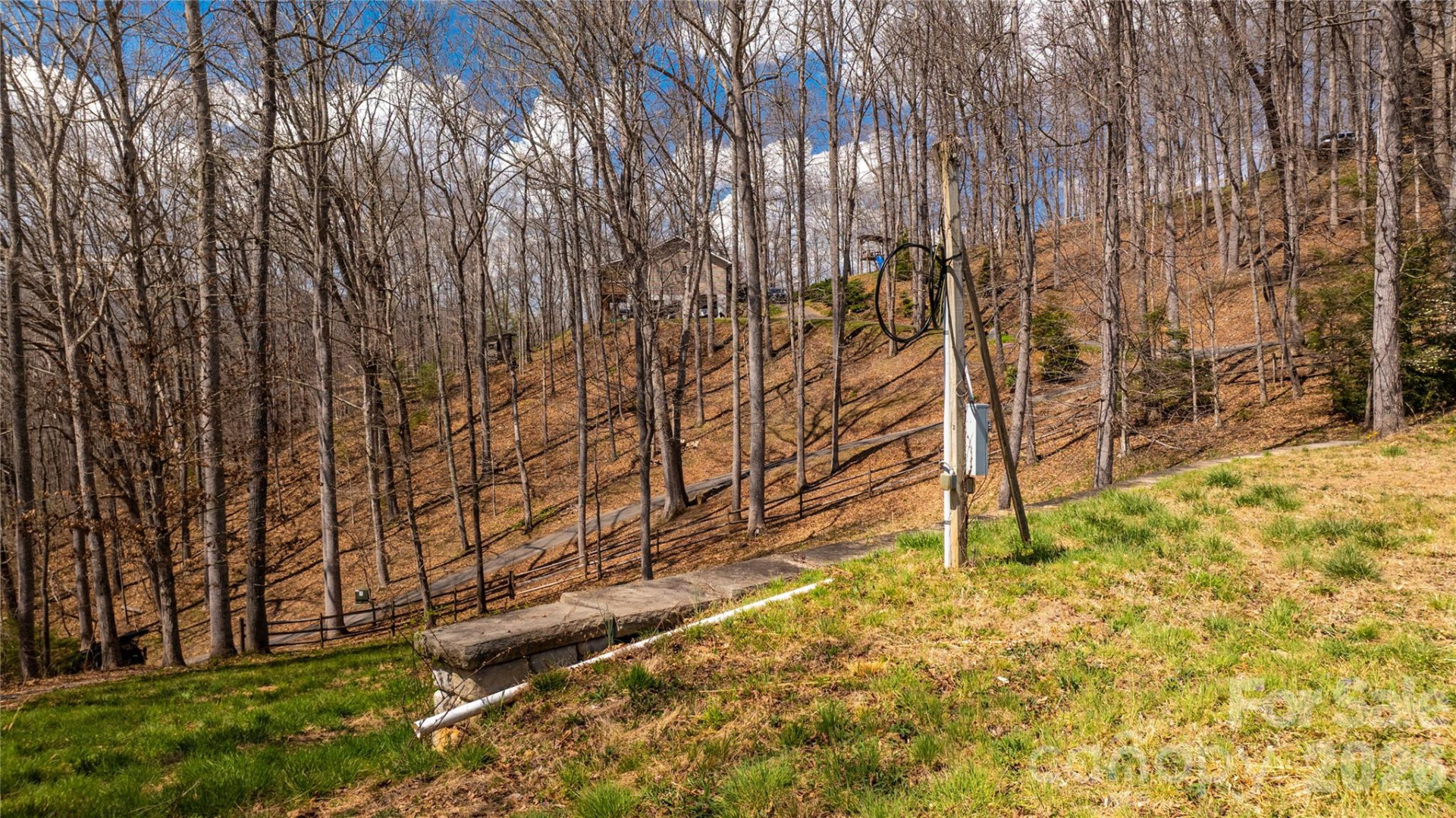 90 Last Coyote Trail - Photo 17