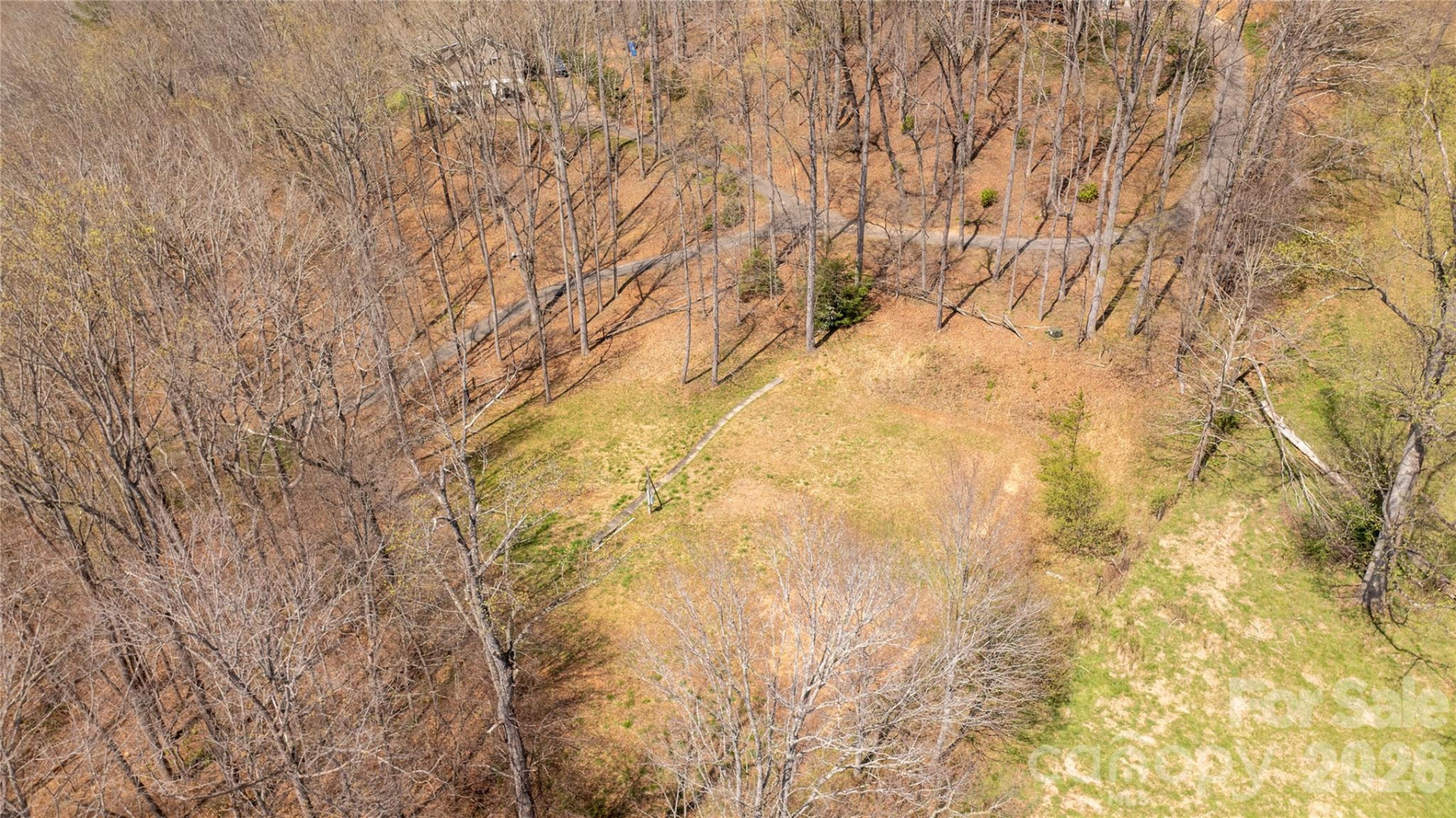 90 Last Coyote Trail - Photo 5