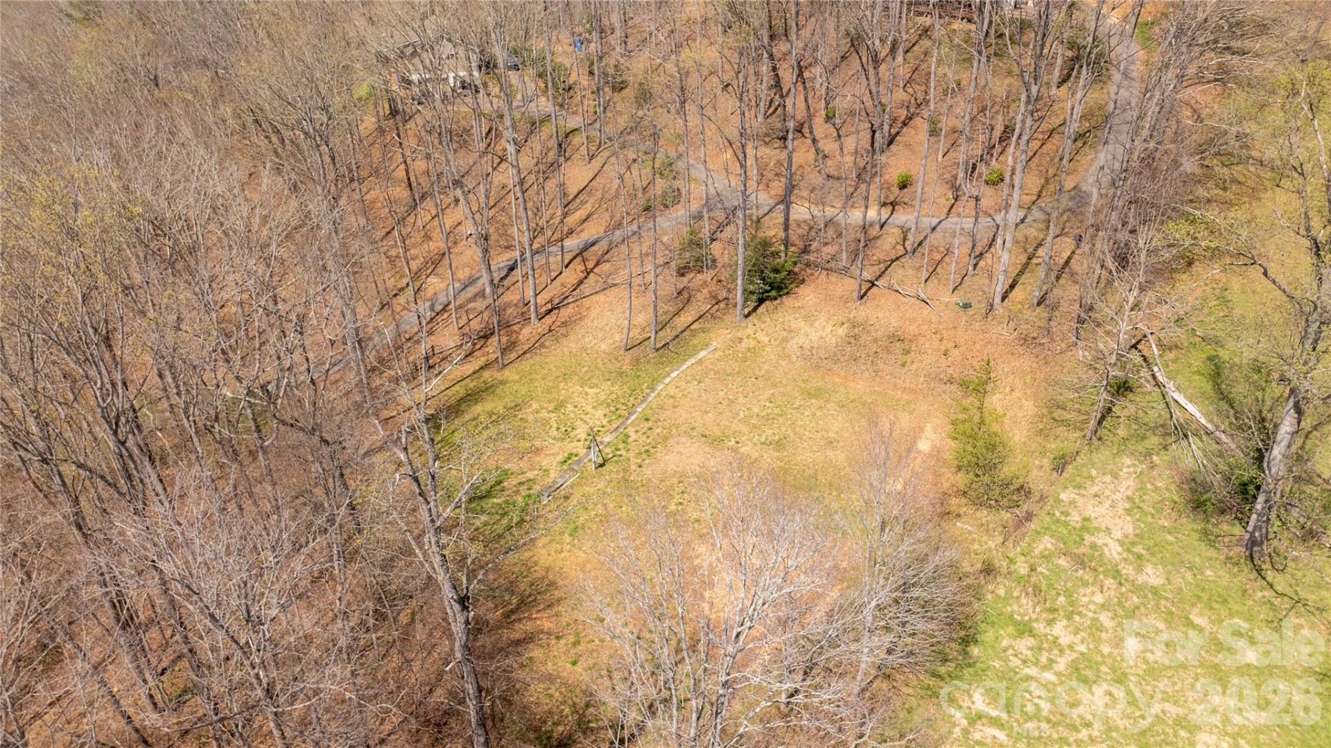 90 Last Coyote Trail - Photo 5